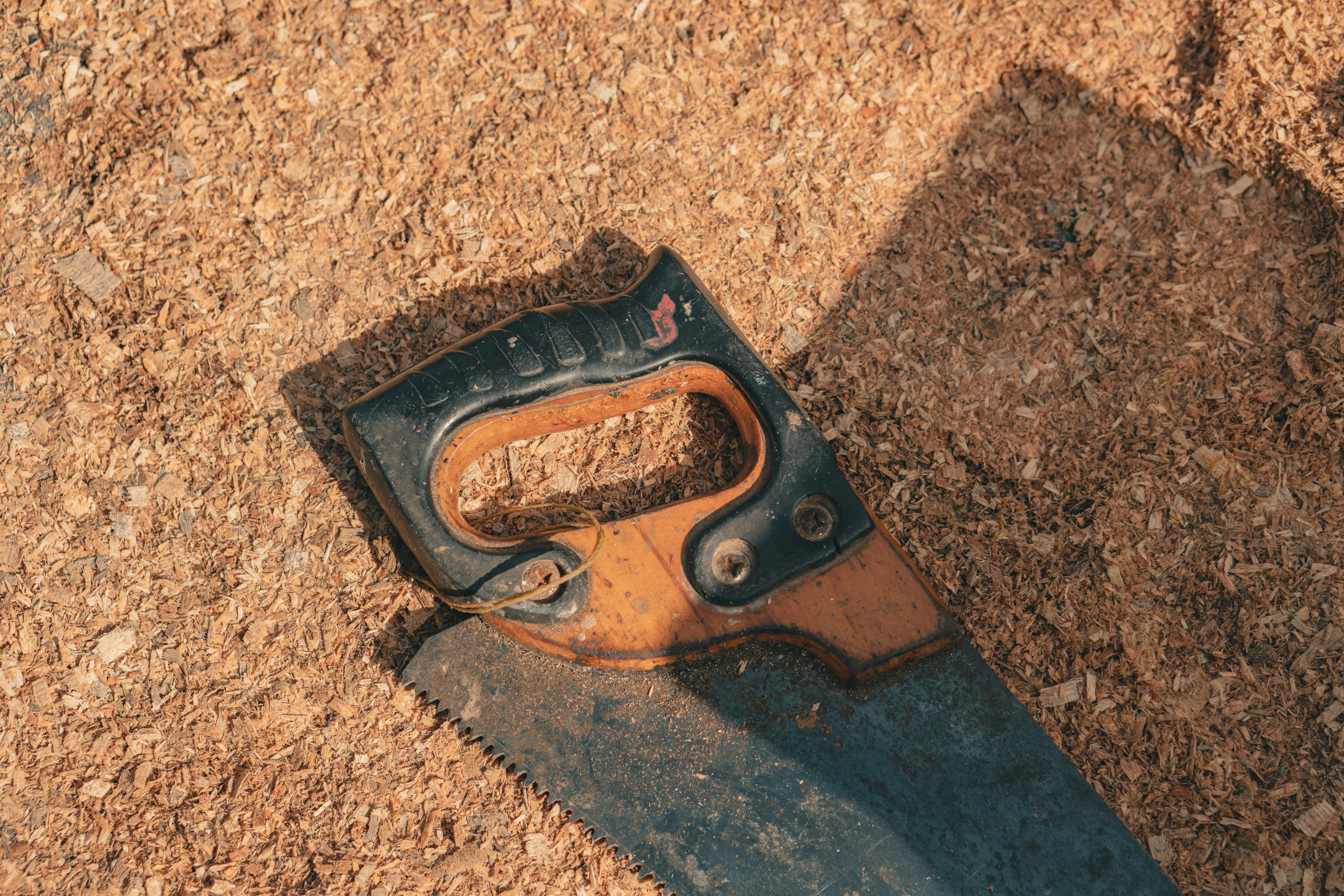 Hand saw resting on a bed of sawdust.