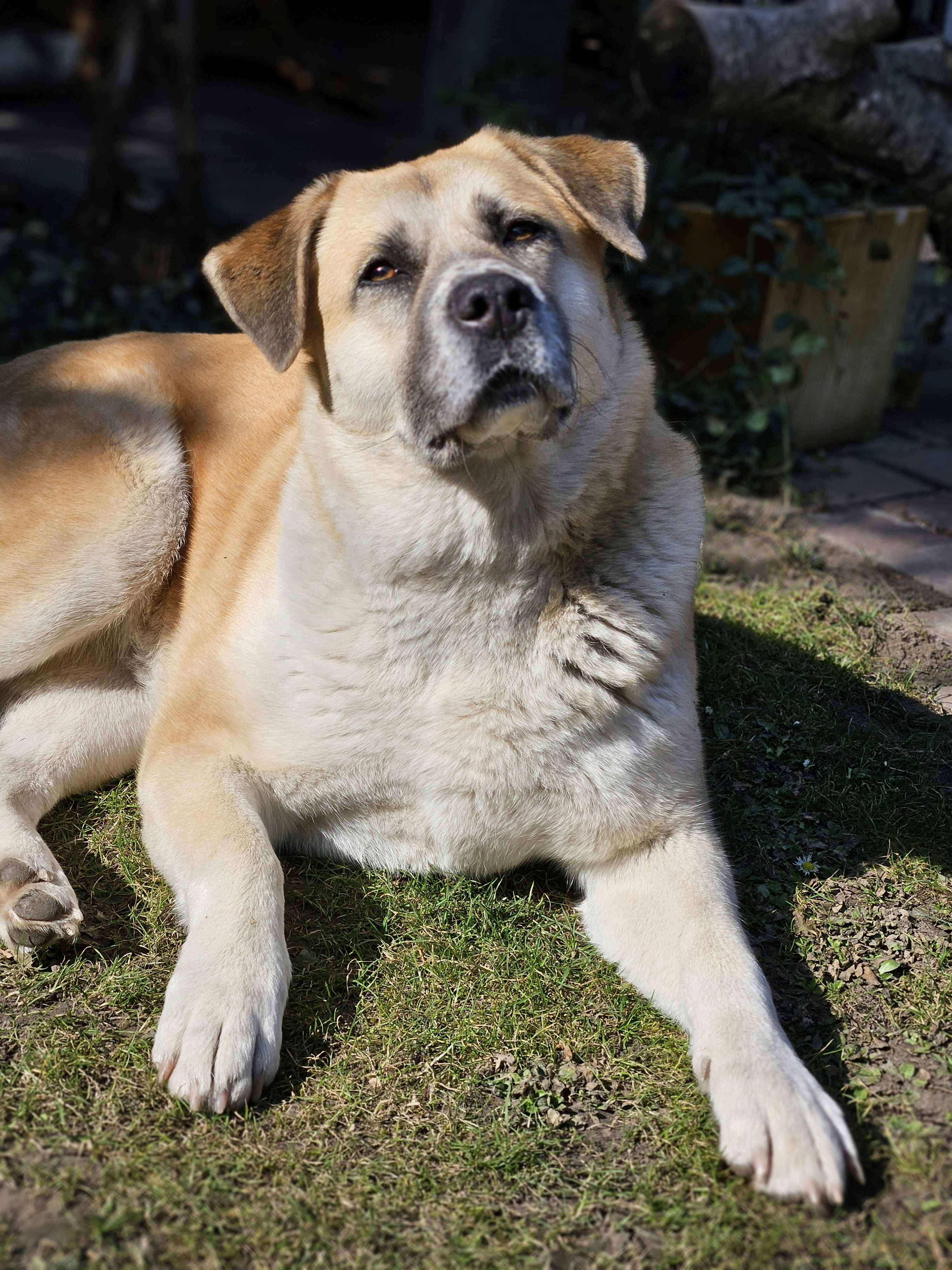 Photo by marjorylucabaxter