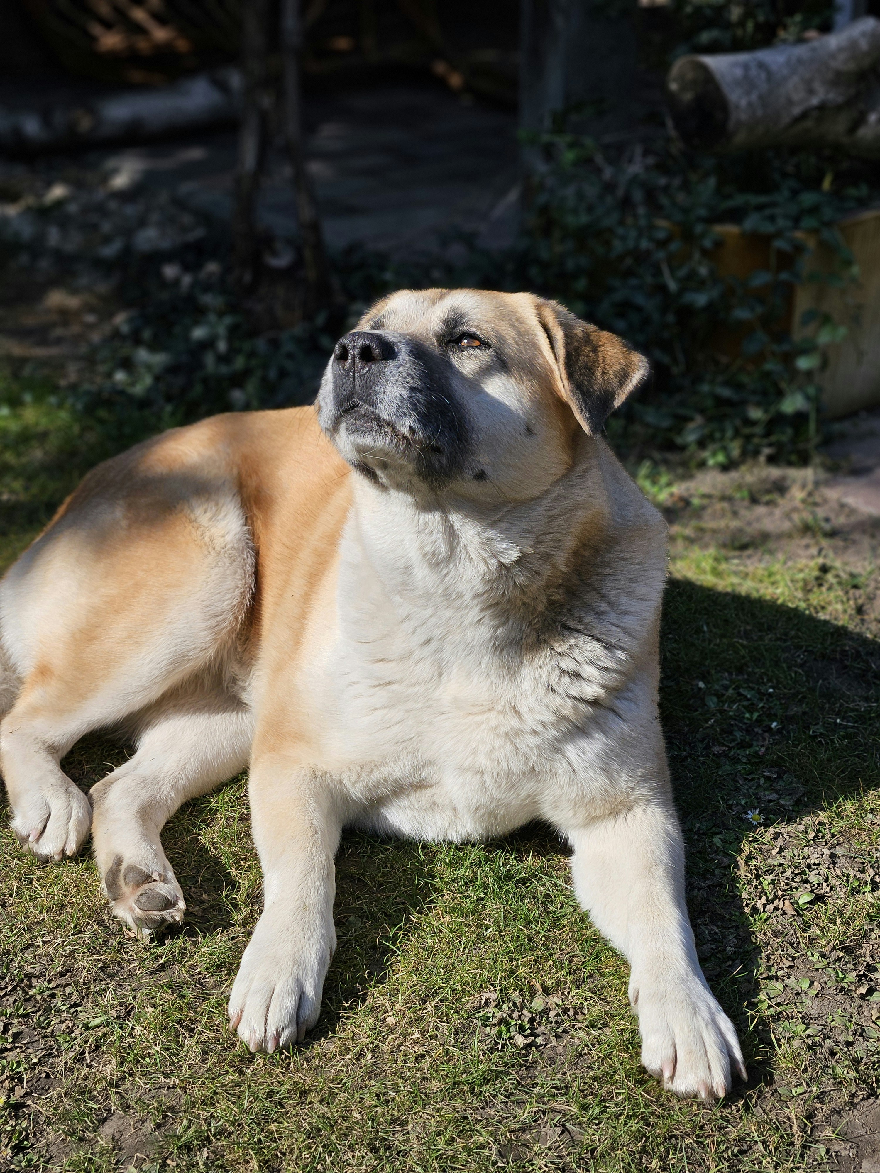 Photo by marjorylucabaxter