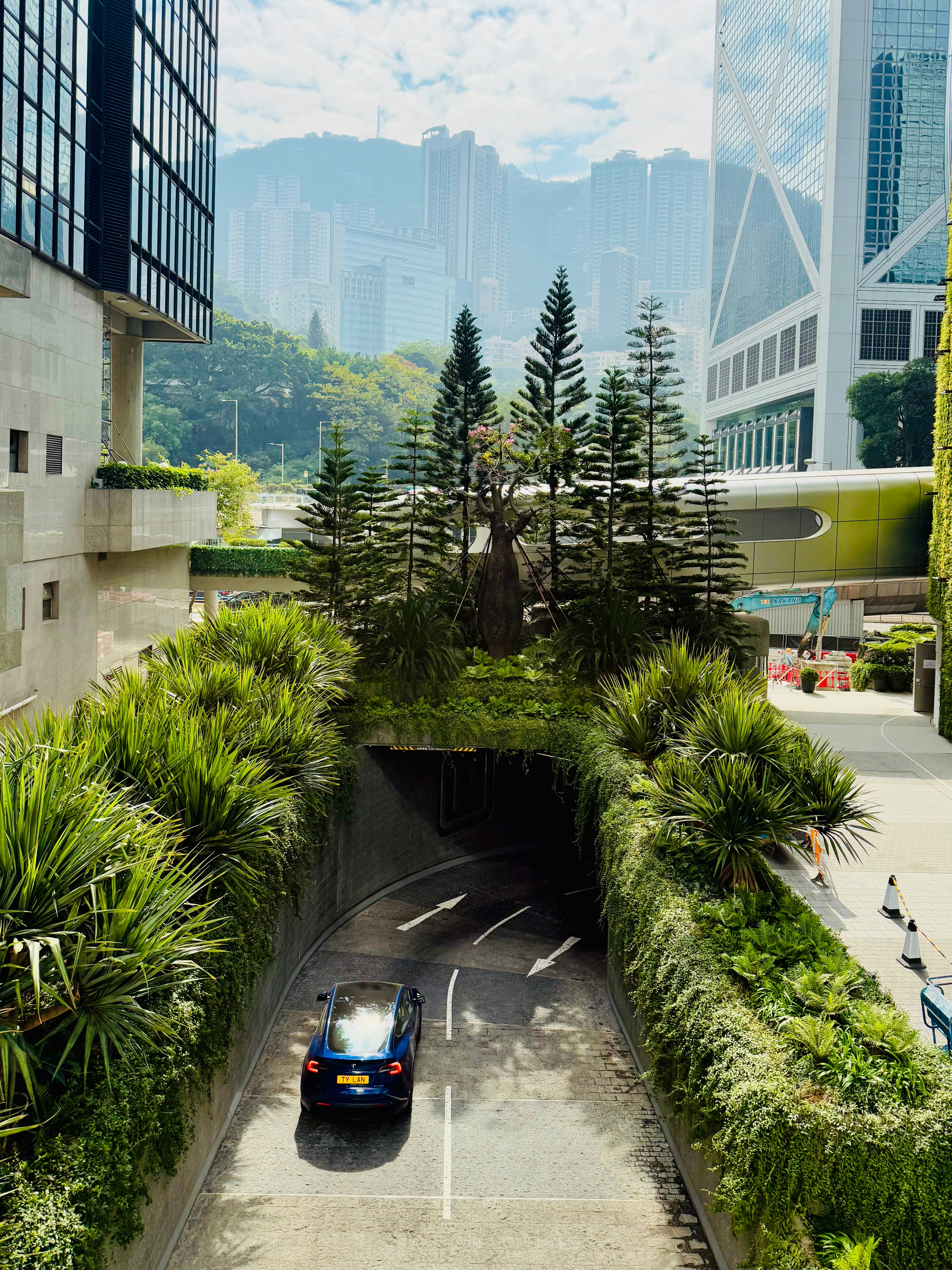 A car drives into a lush, green tunnel.