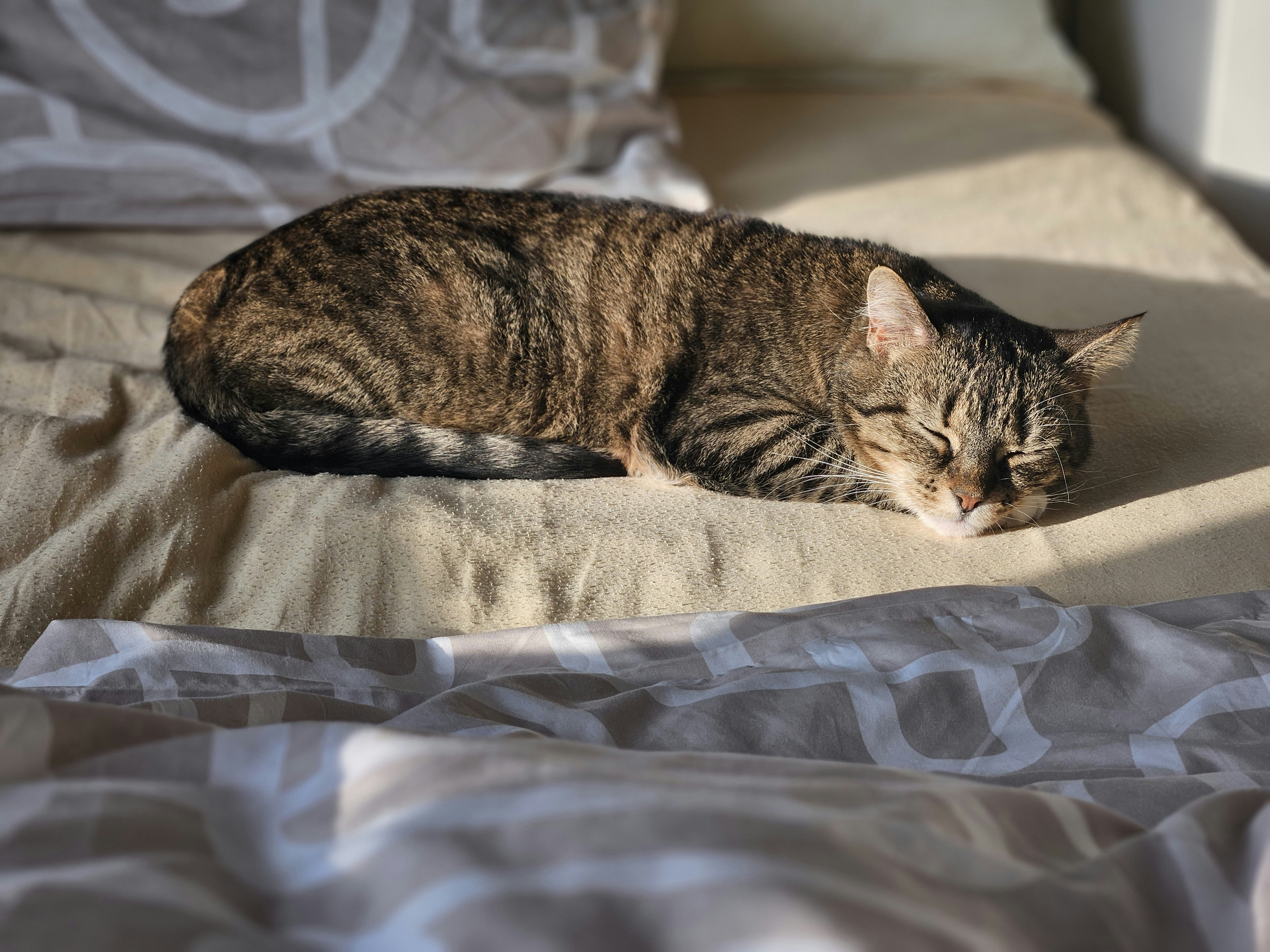 Photo by marjorylucabaxter