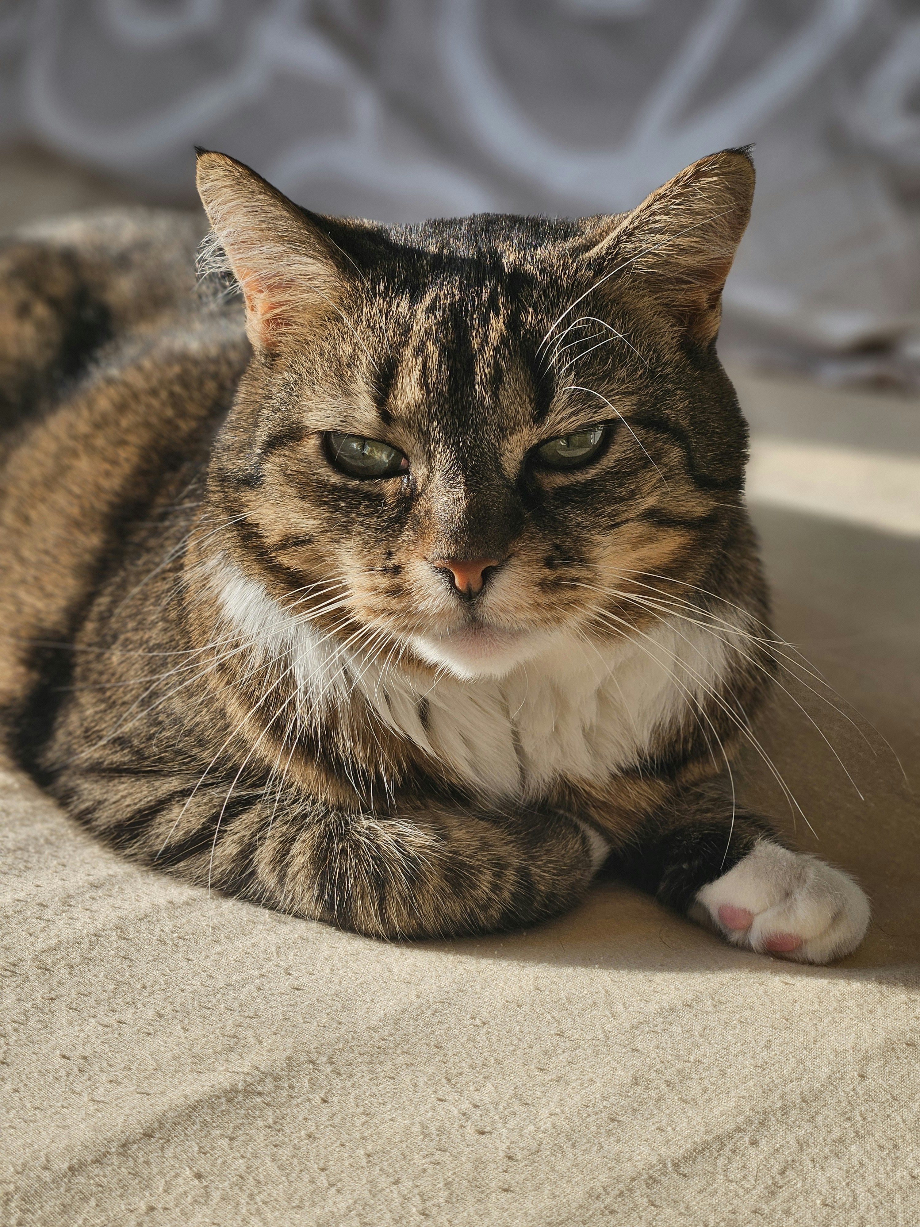 Photo by marjorylucabaxter