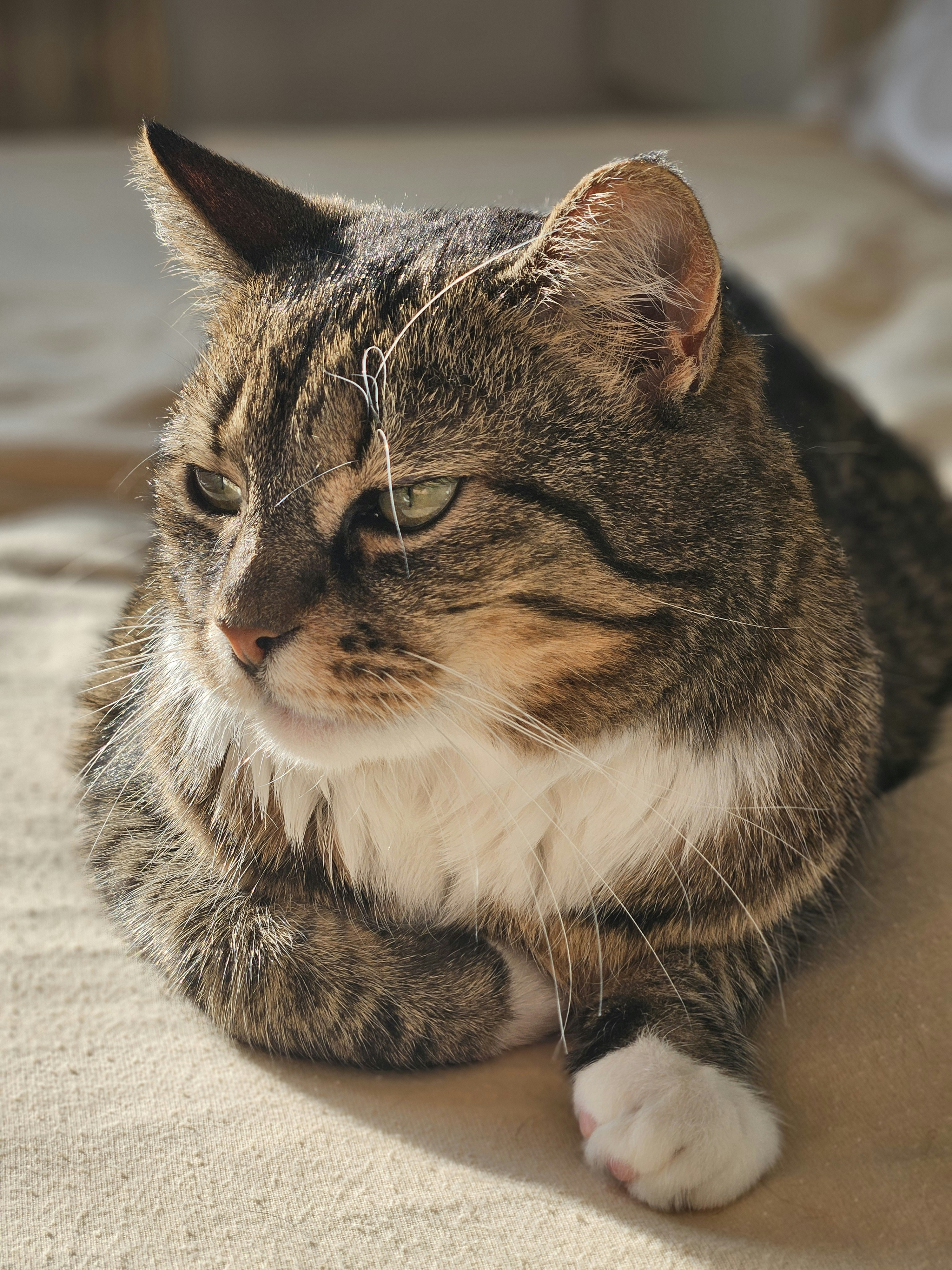 Photo by marjorylucabaxter