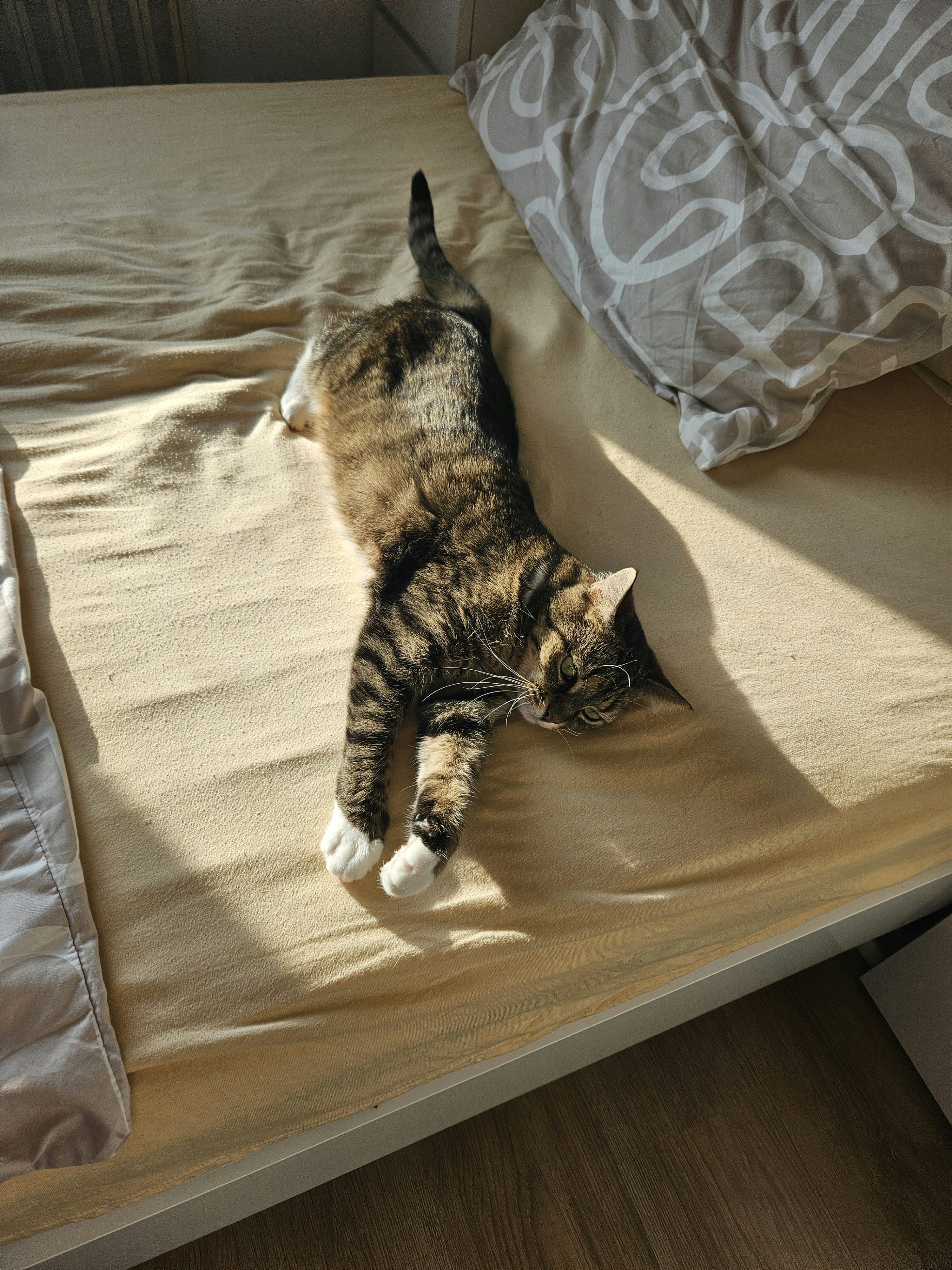 Photo by marjorylucabaxter