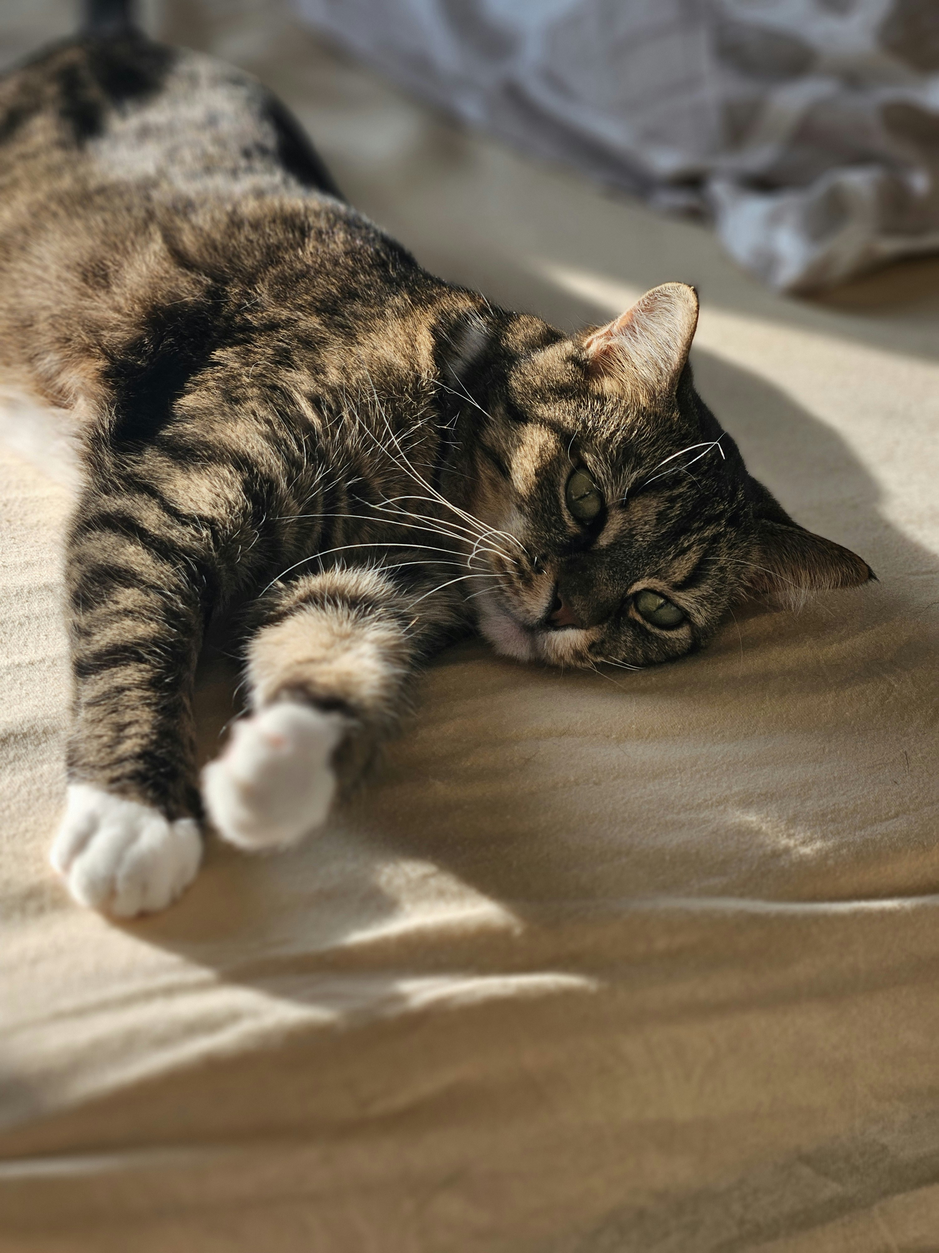 Photo by marjorylucabaxter