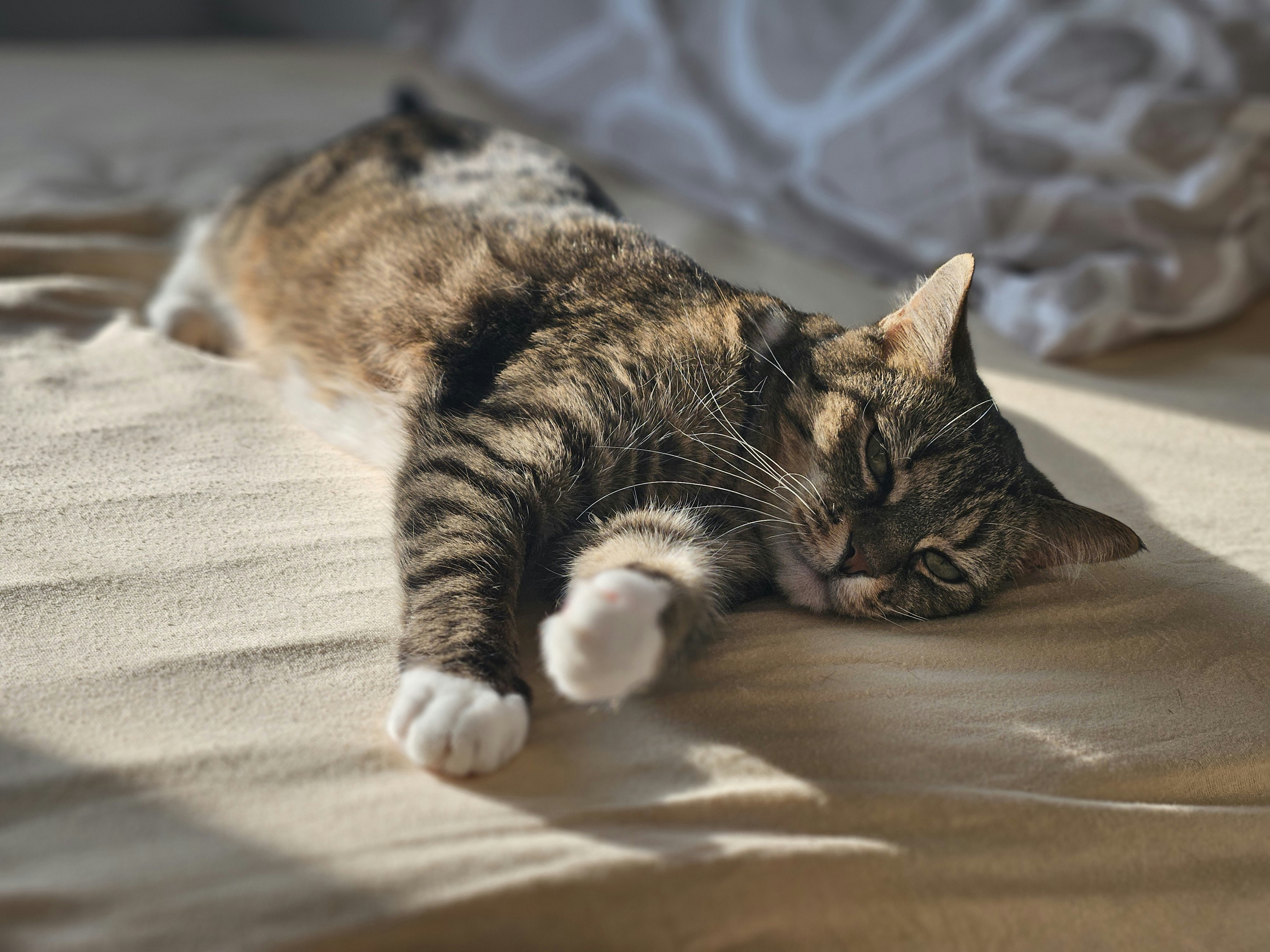 Photo by marjorylucabaxter