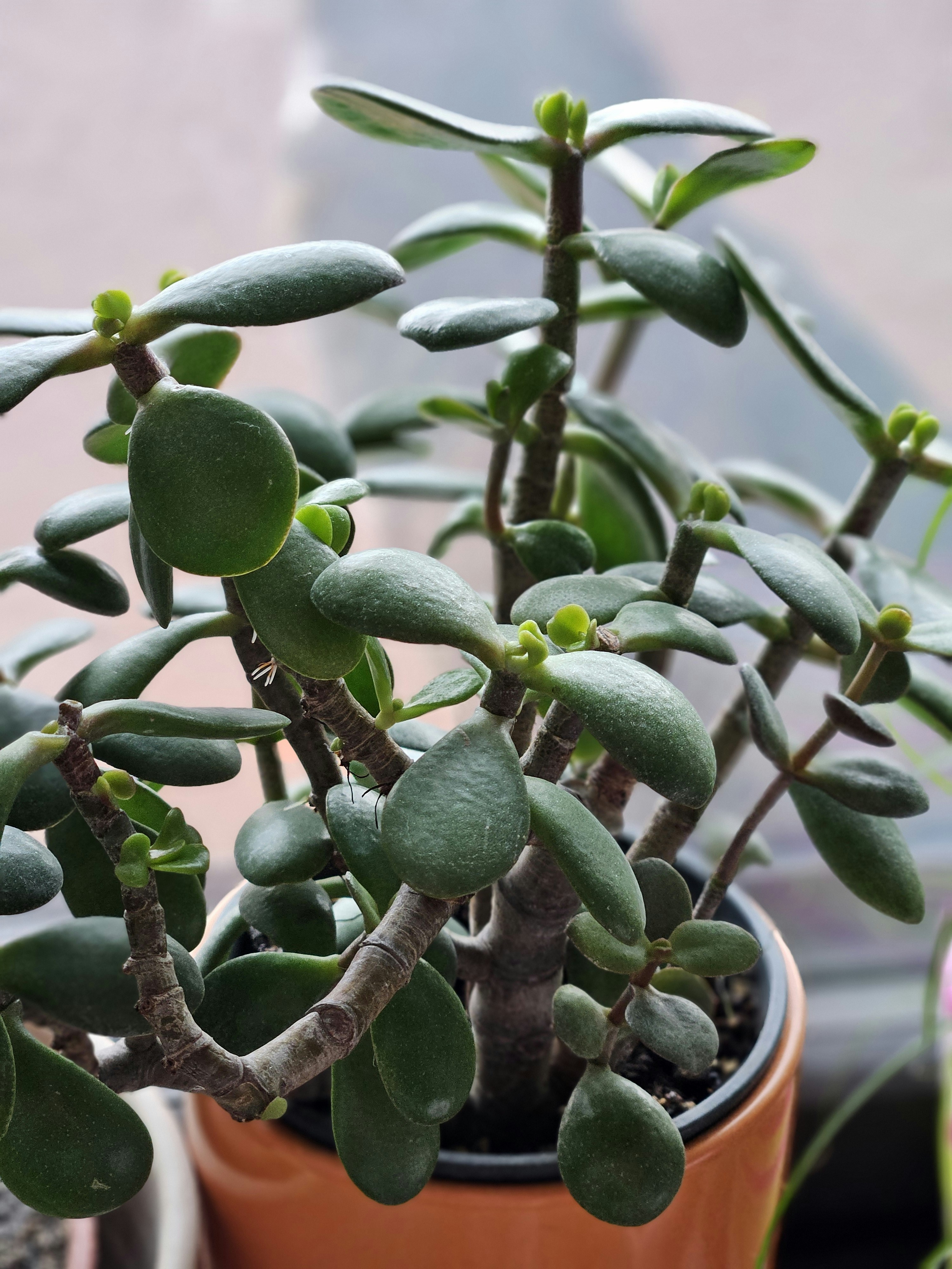 Photo by marjorylucabaxter