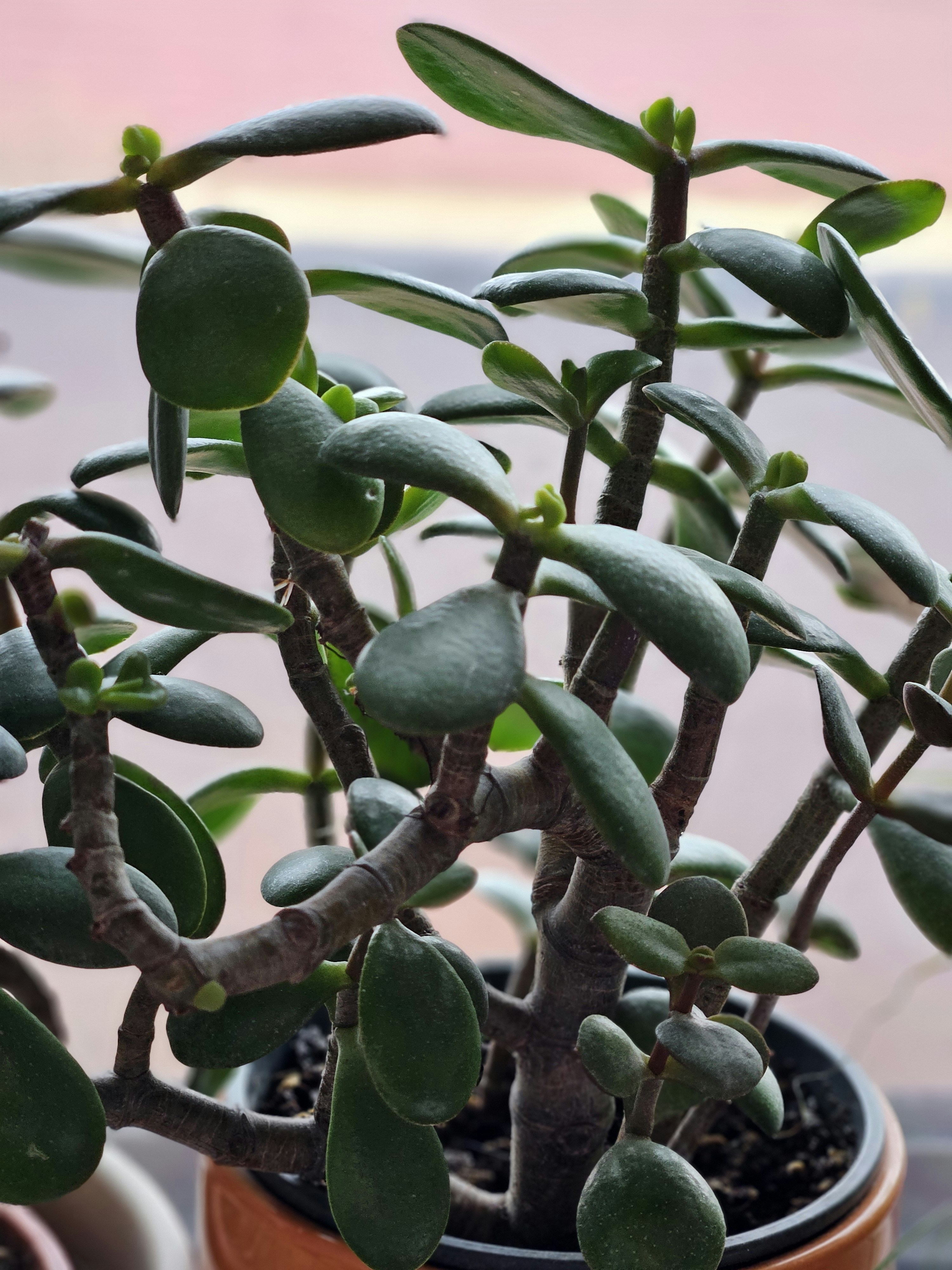 Photo by marjorylucabaxter