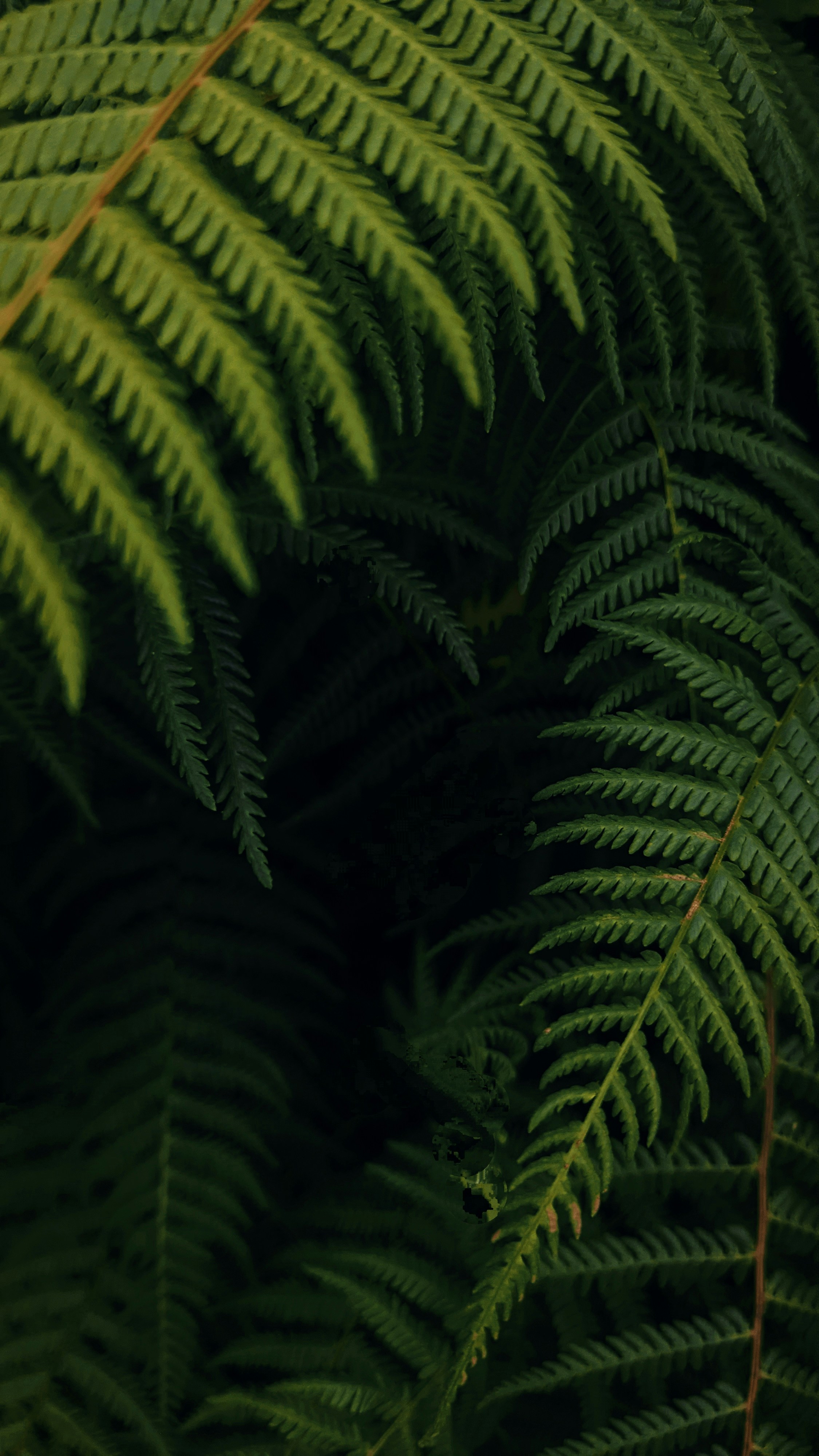 event wallpaper aesthetic, wallpaper, Hire a Photo Booth: Matching Your Event Aesthetic 6