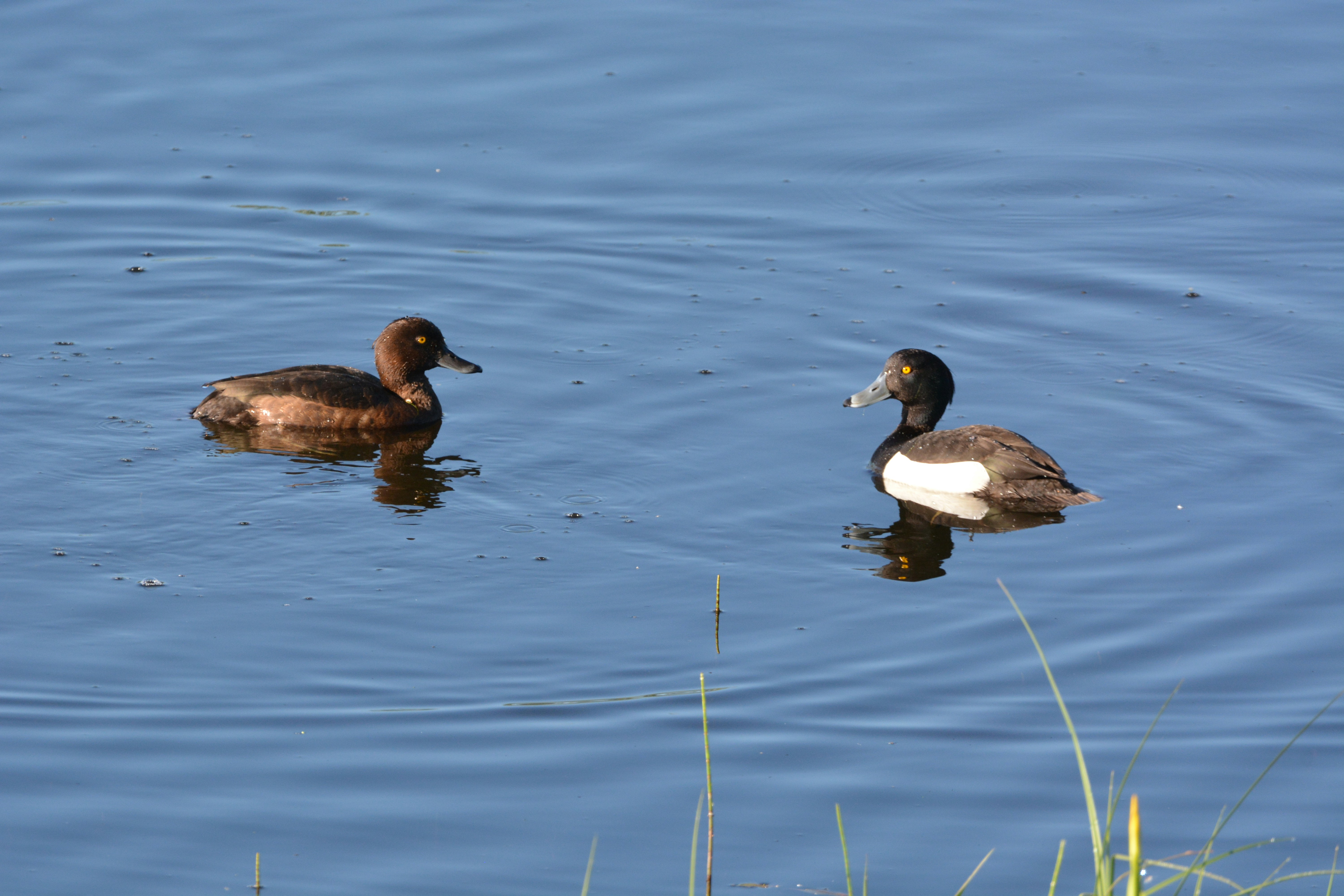 Photo by ashwinward18