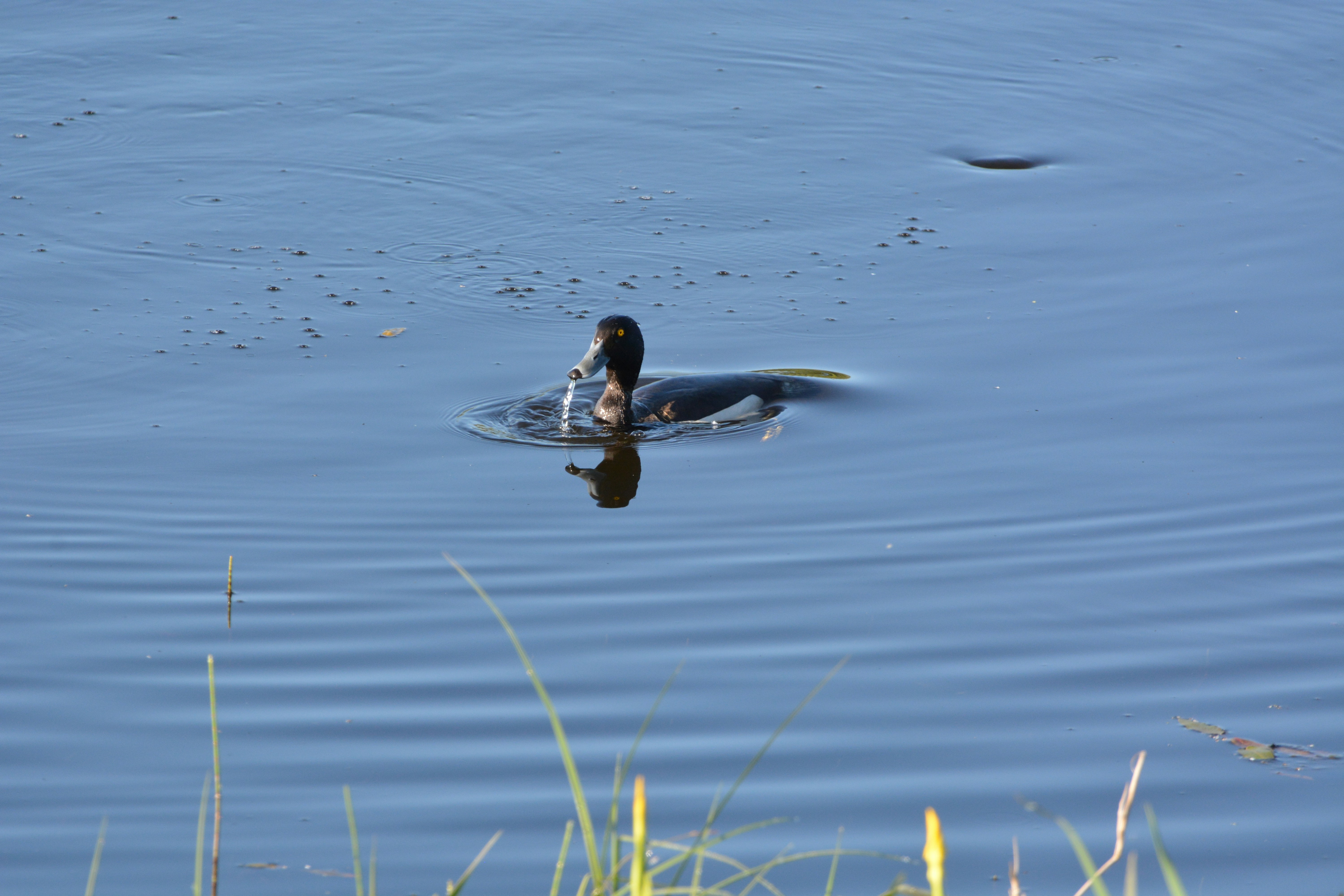 Photo by ashwinward18