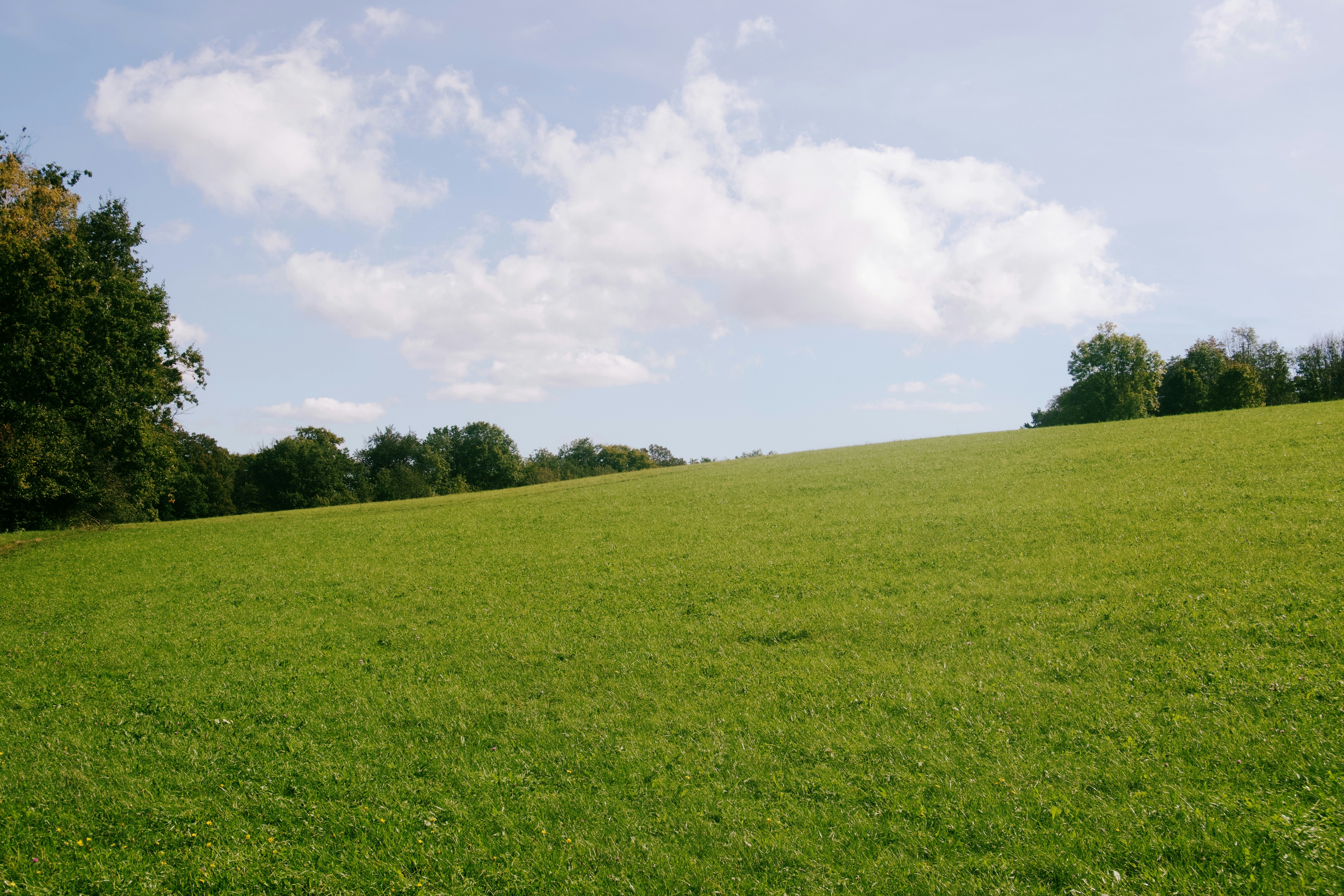 Photo by yingjiexiao