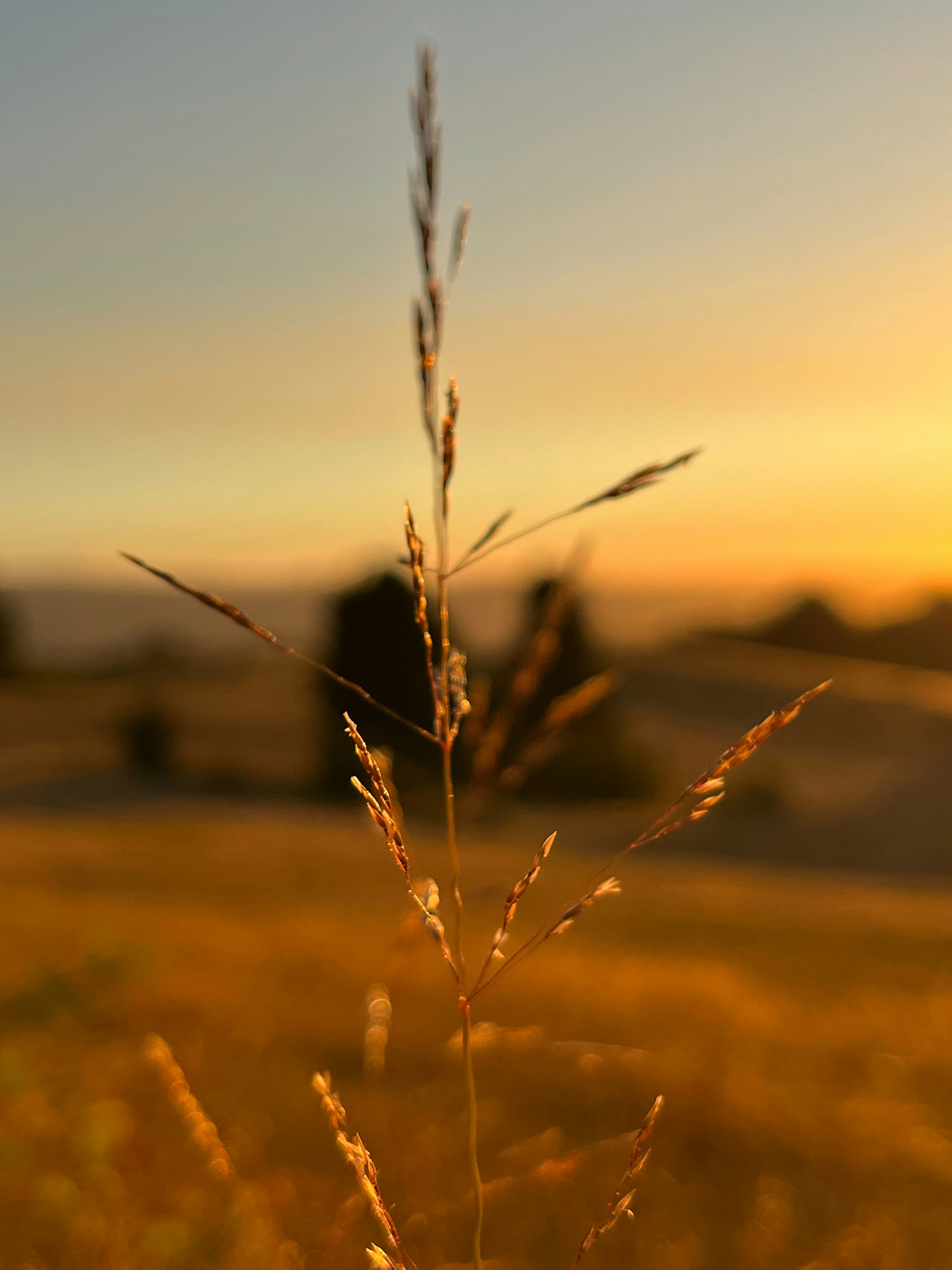 Photo by fernandamakjj