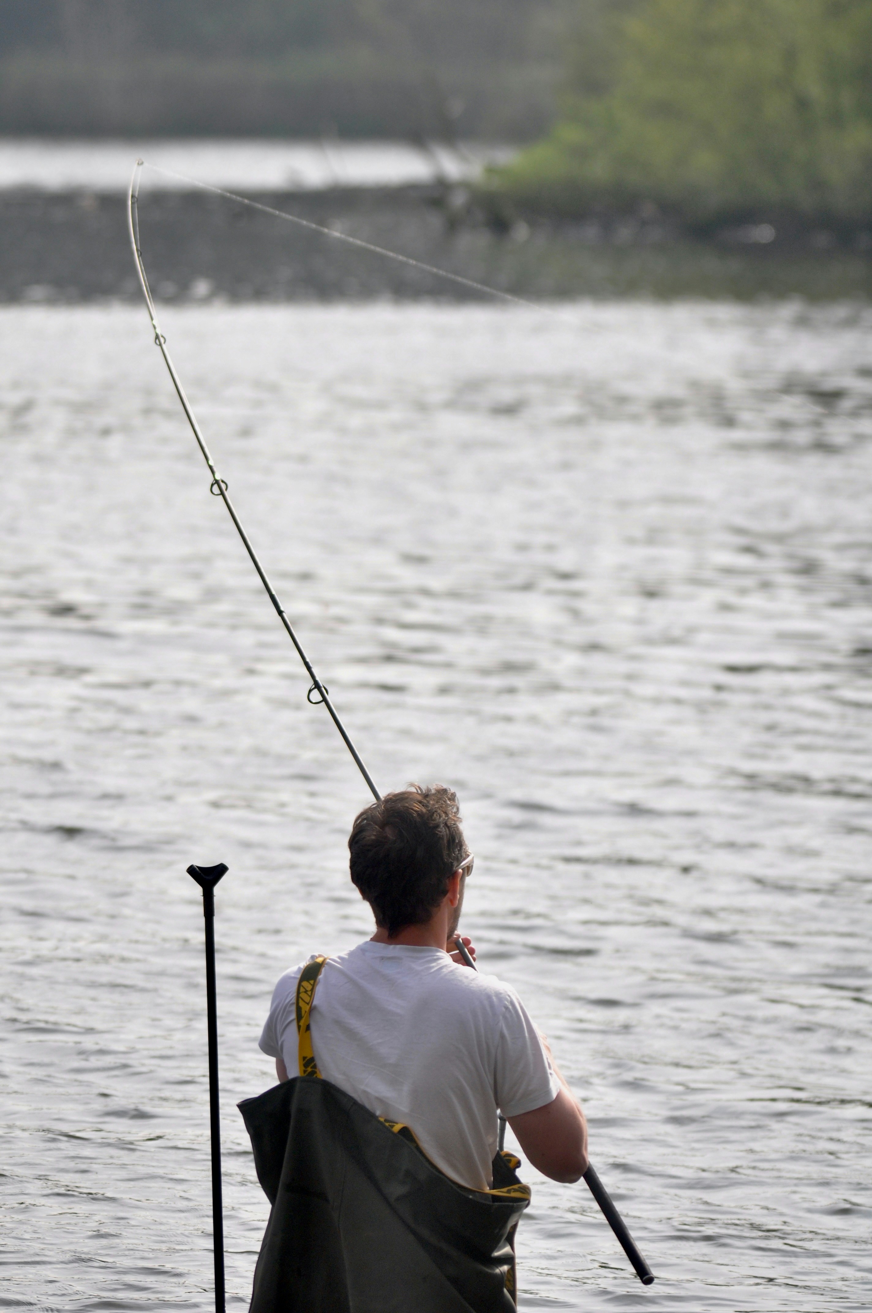 Photo by beardynature