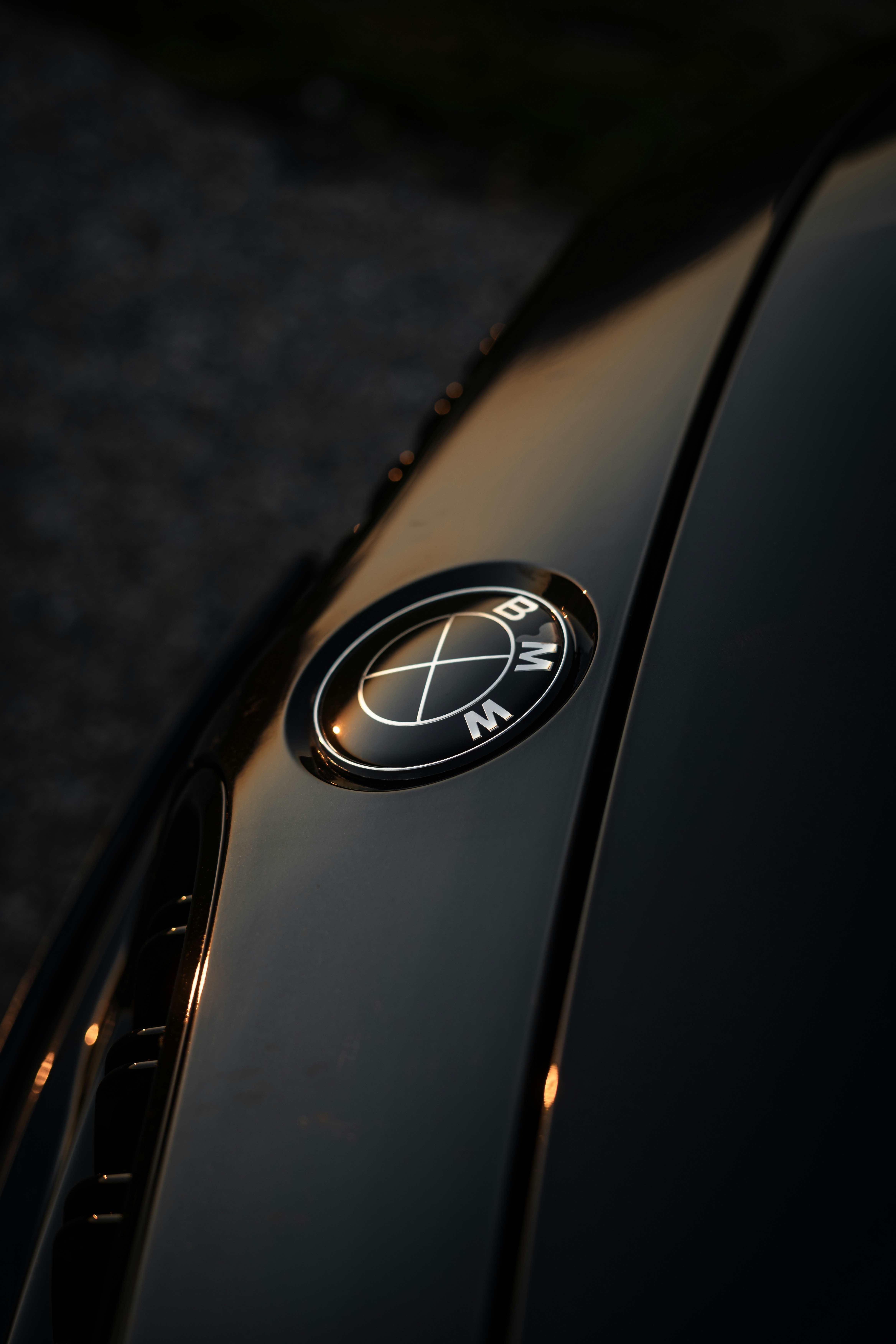 A BMW logo gleams in the golden light.