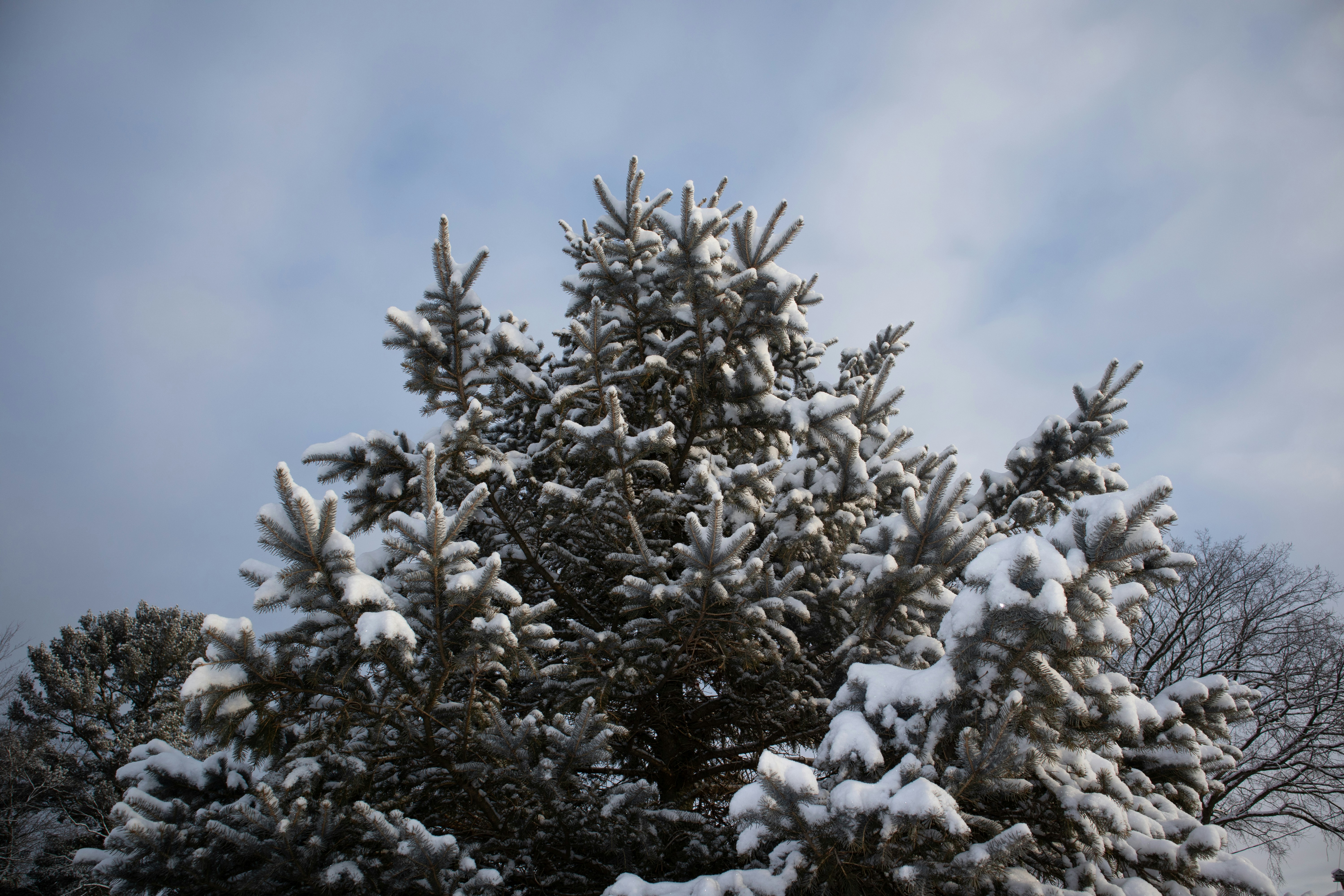 Photo by wisconsinpictures