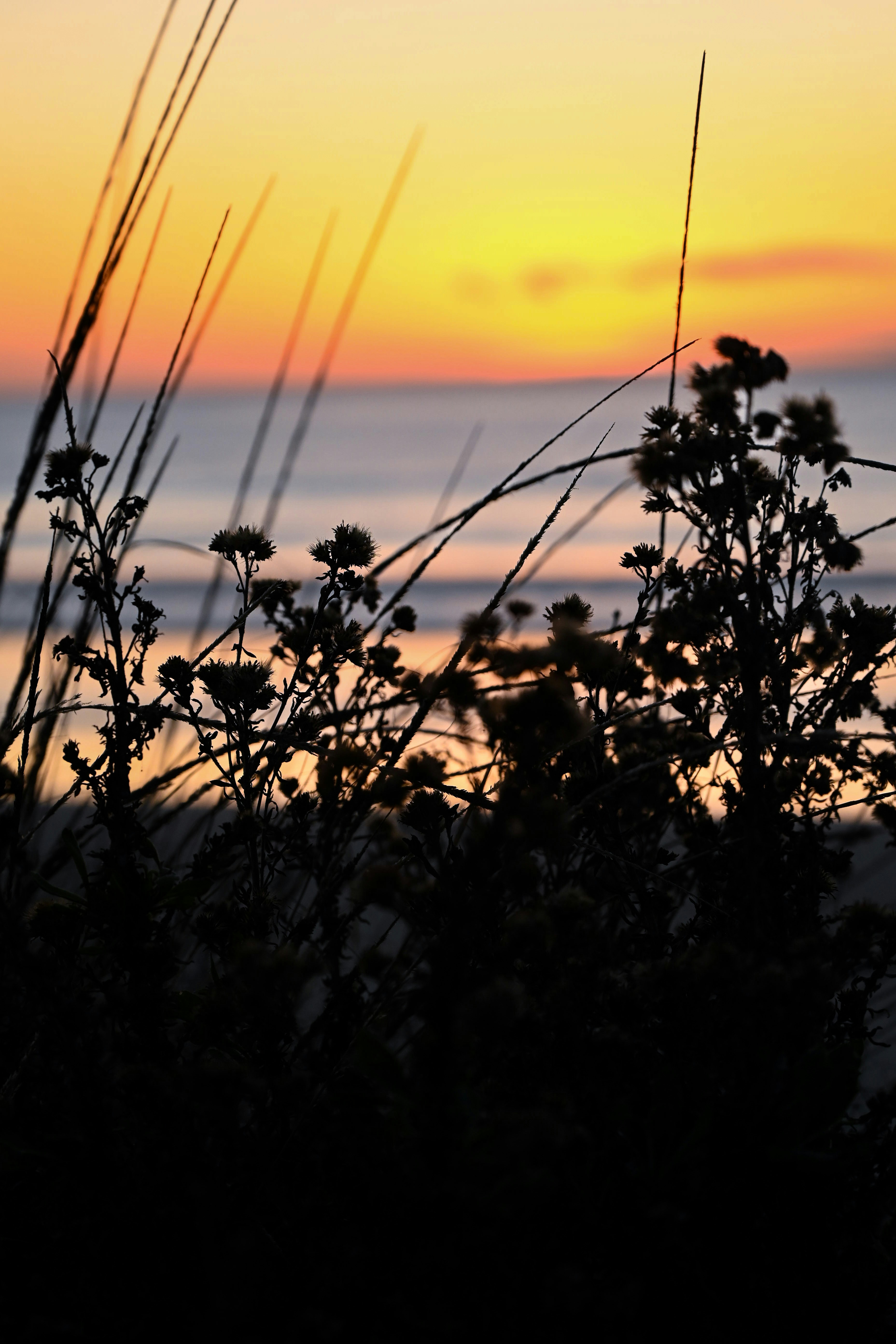 Photo by chrismags0520