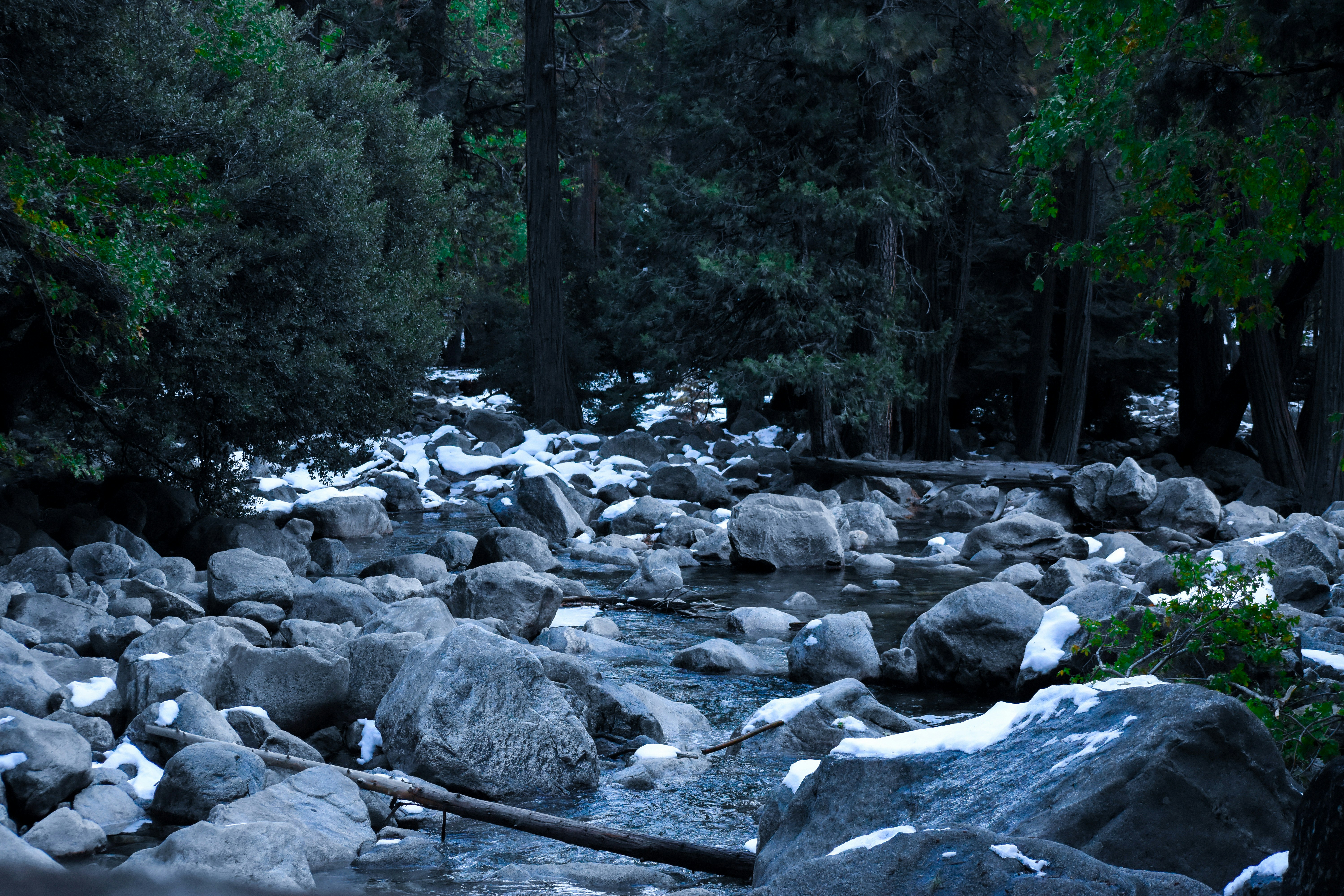 Photo by chrismags0520