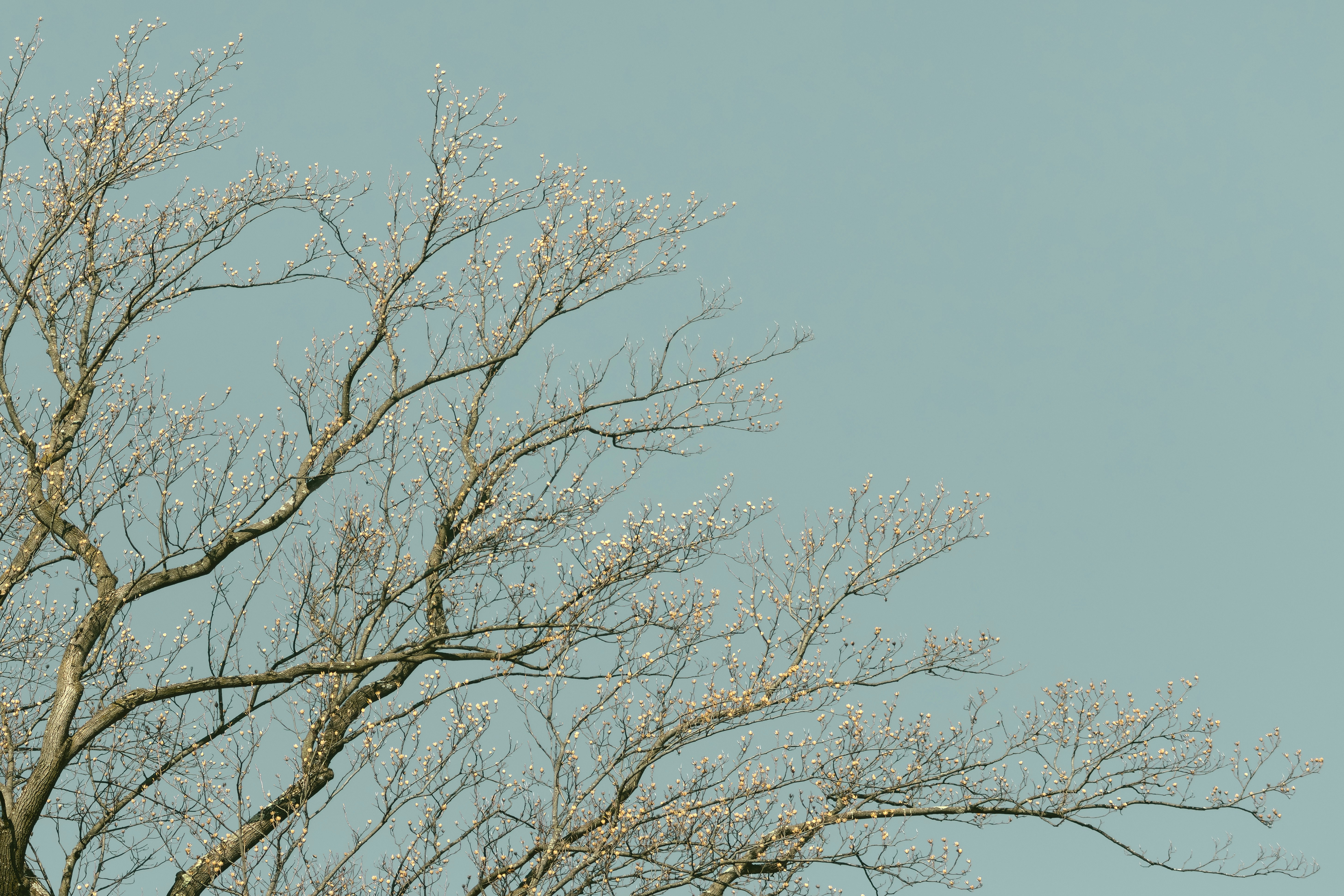 Photo by peterbbryan