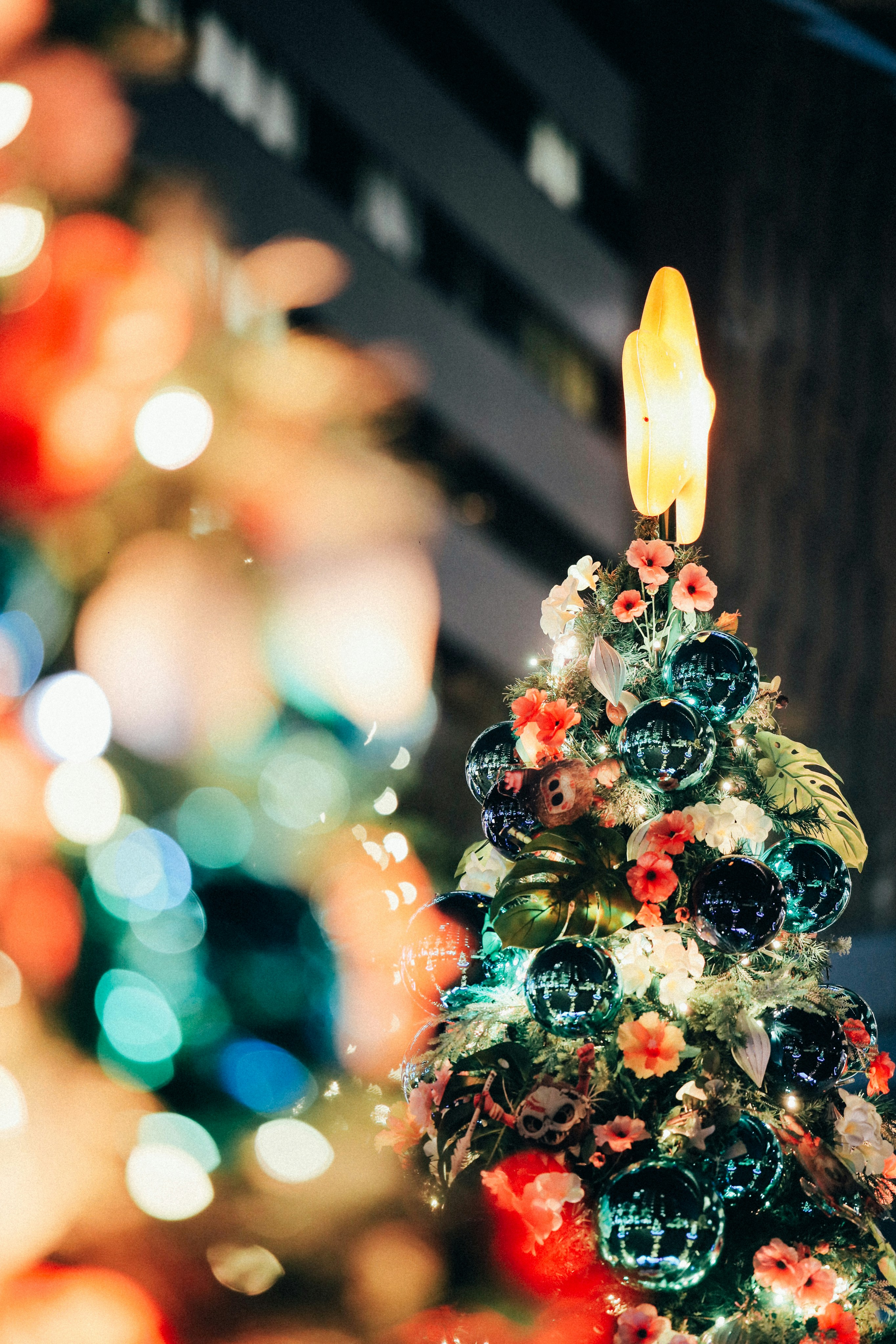 Photo by tsuyoshikozu