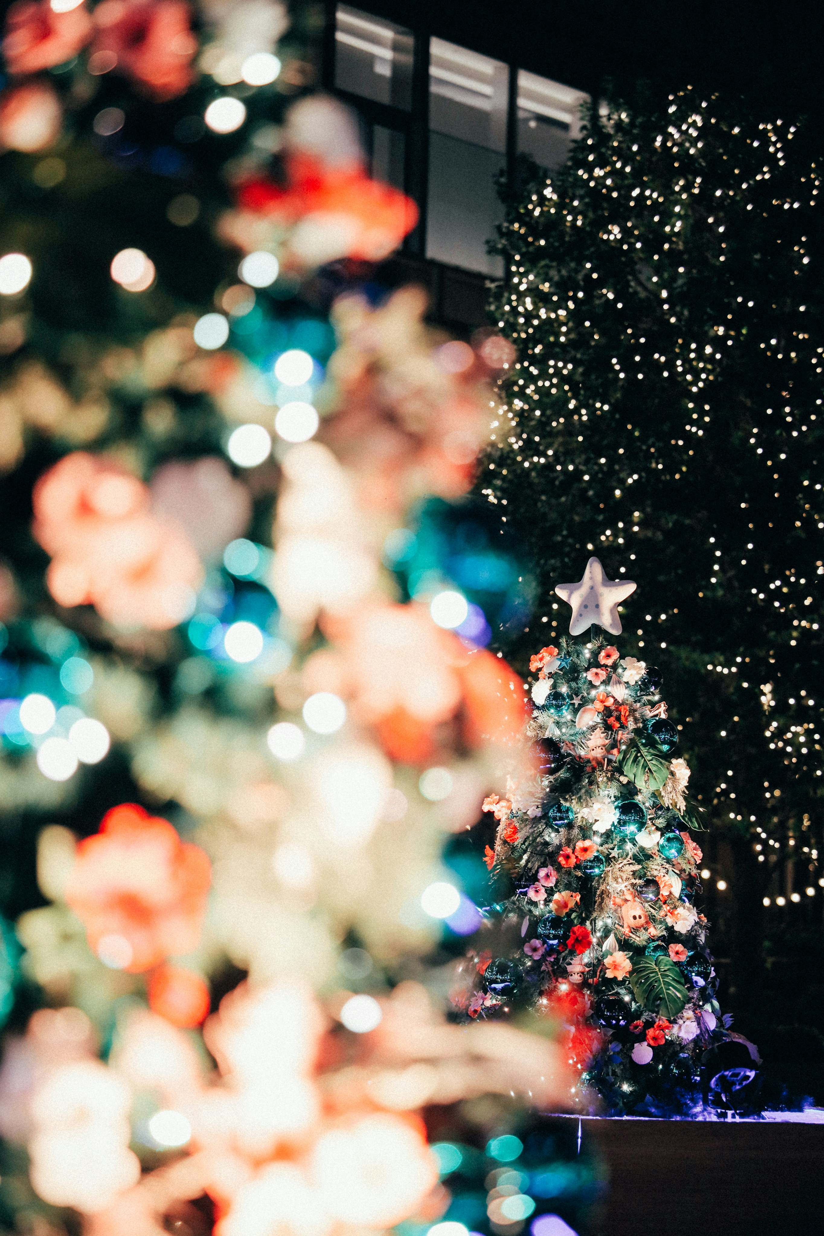 Photo by tsuyoshikozu