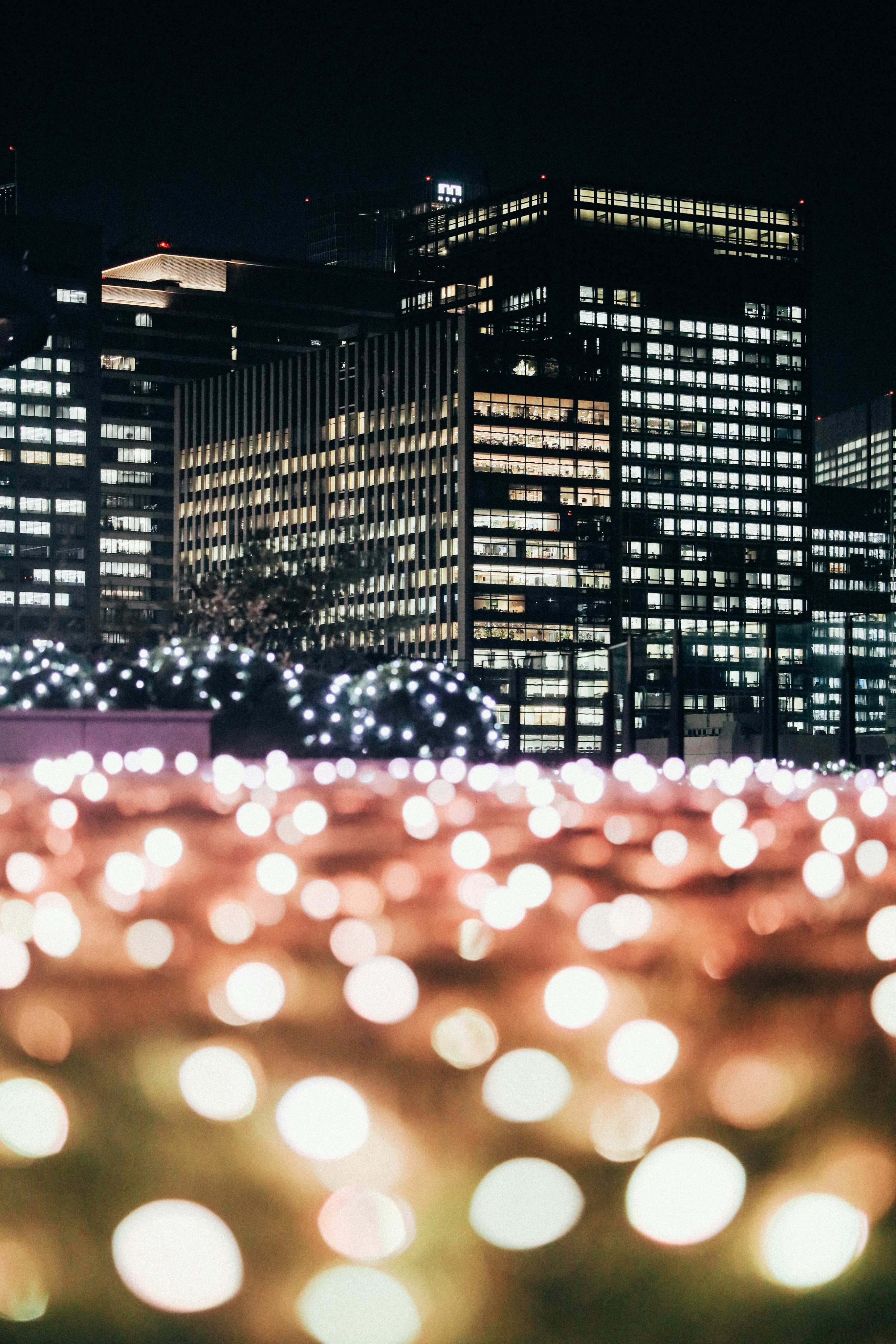 City lights twinkle beneath tall illuminated buildings. photo – Free ...