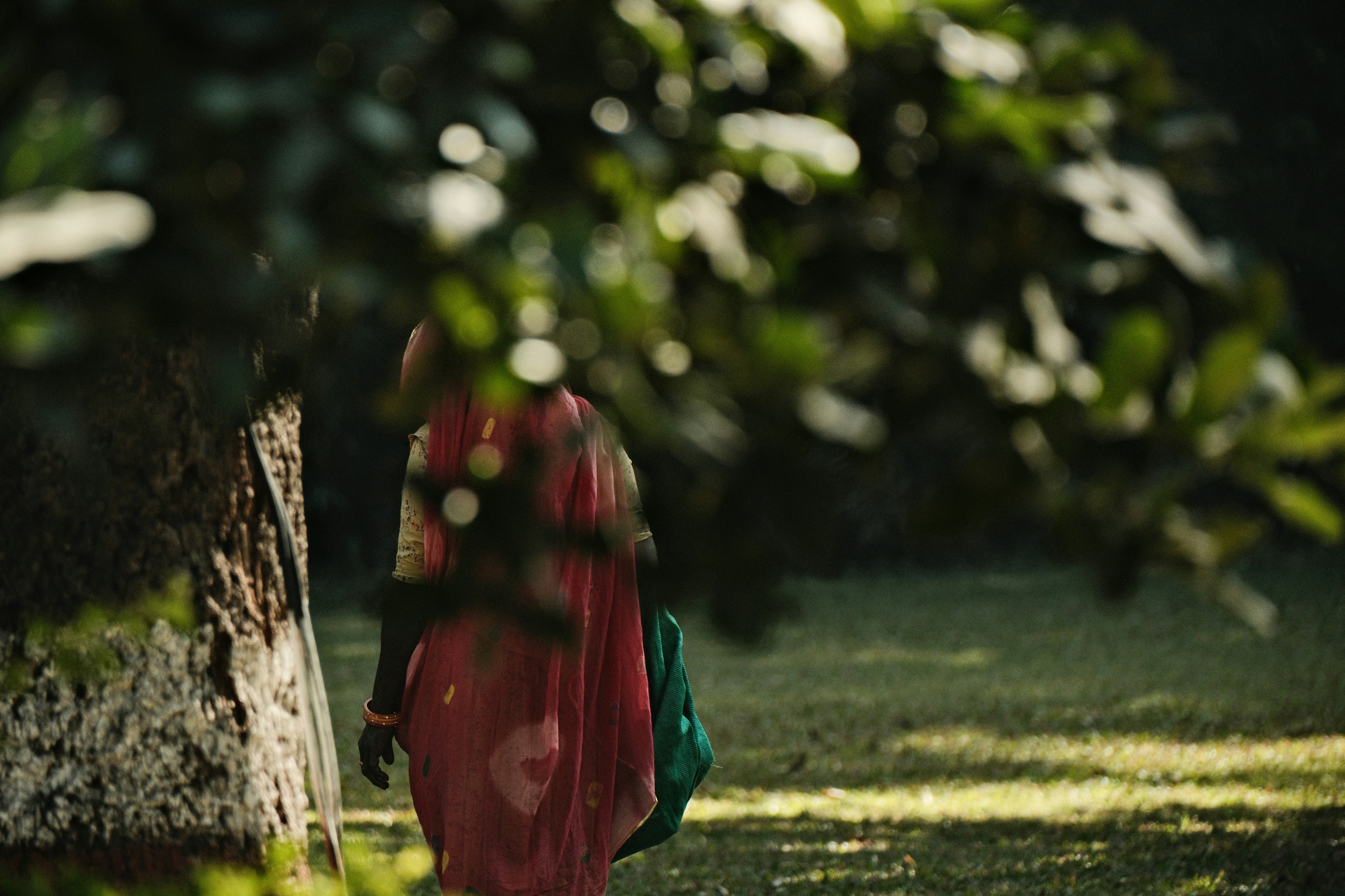 गौरामी मछली का एक विस्तृत क्लोज-अप, चमकीले रंगों और विशिष्ट पंखों के साथ, साफ पानी में तैरते हुए।