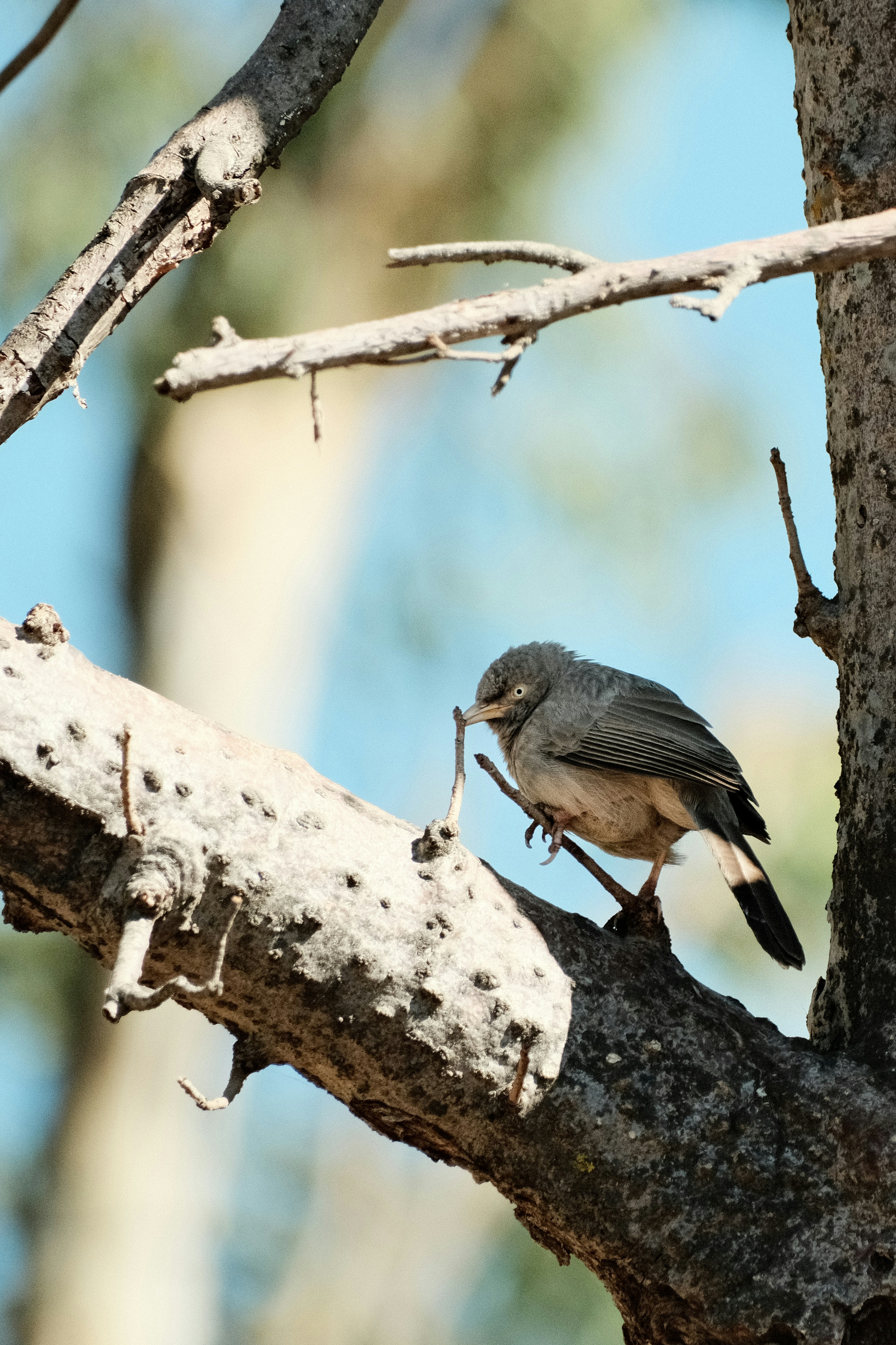 Photo by tonny_huang