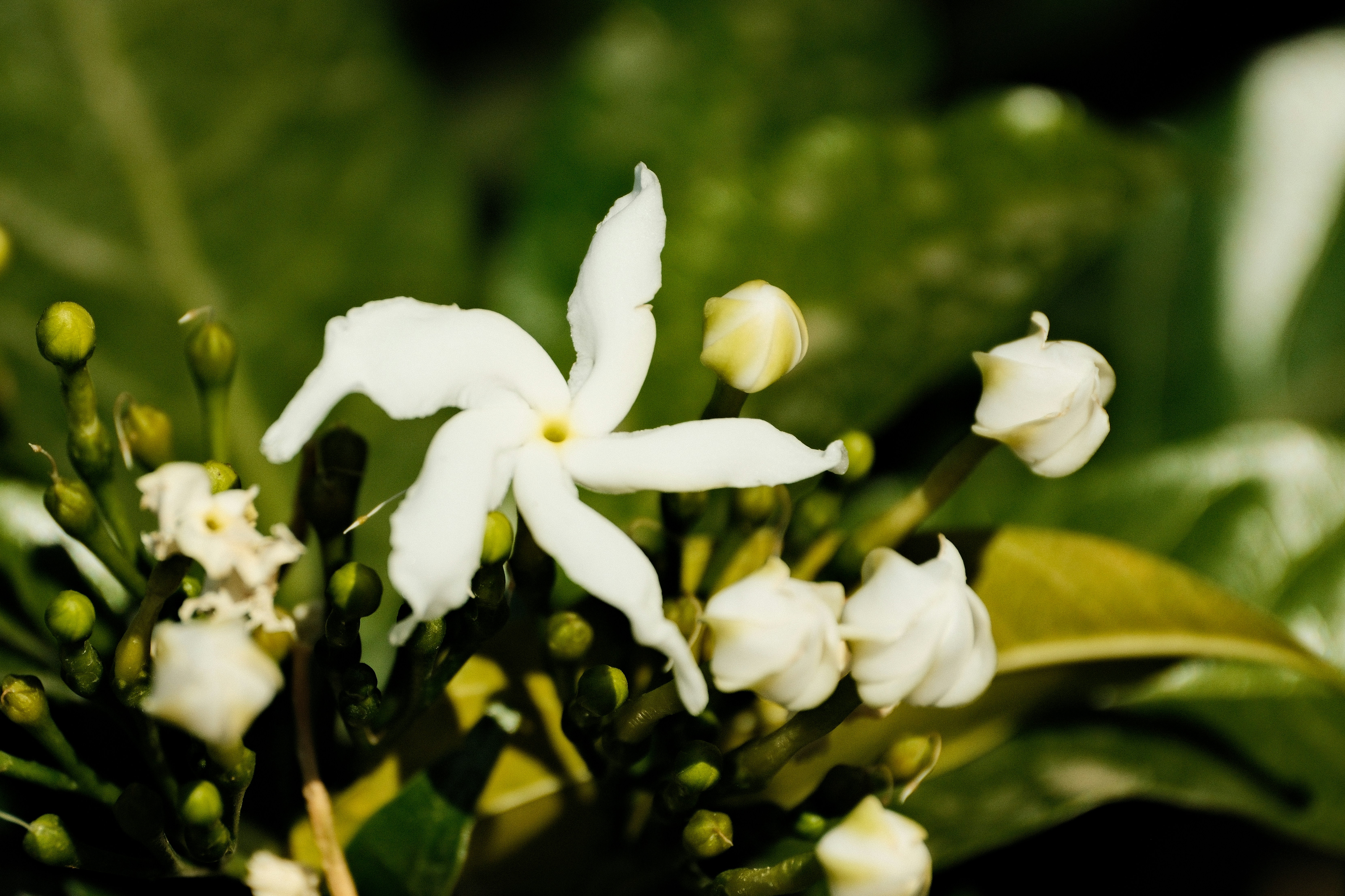 Photo by tonny_huang