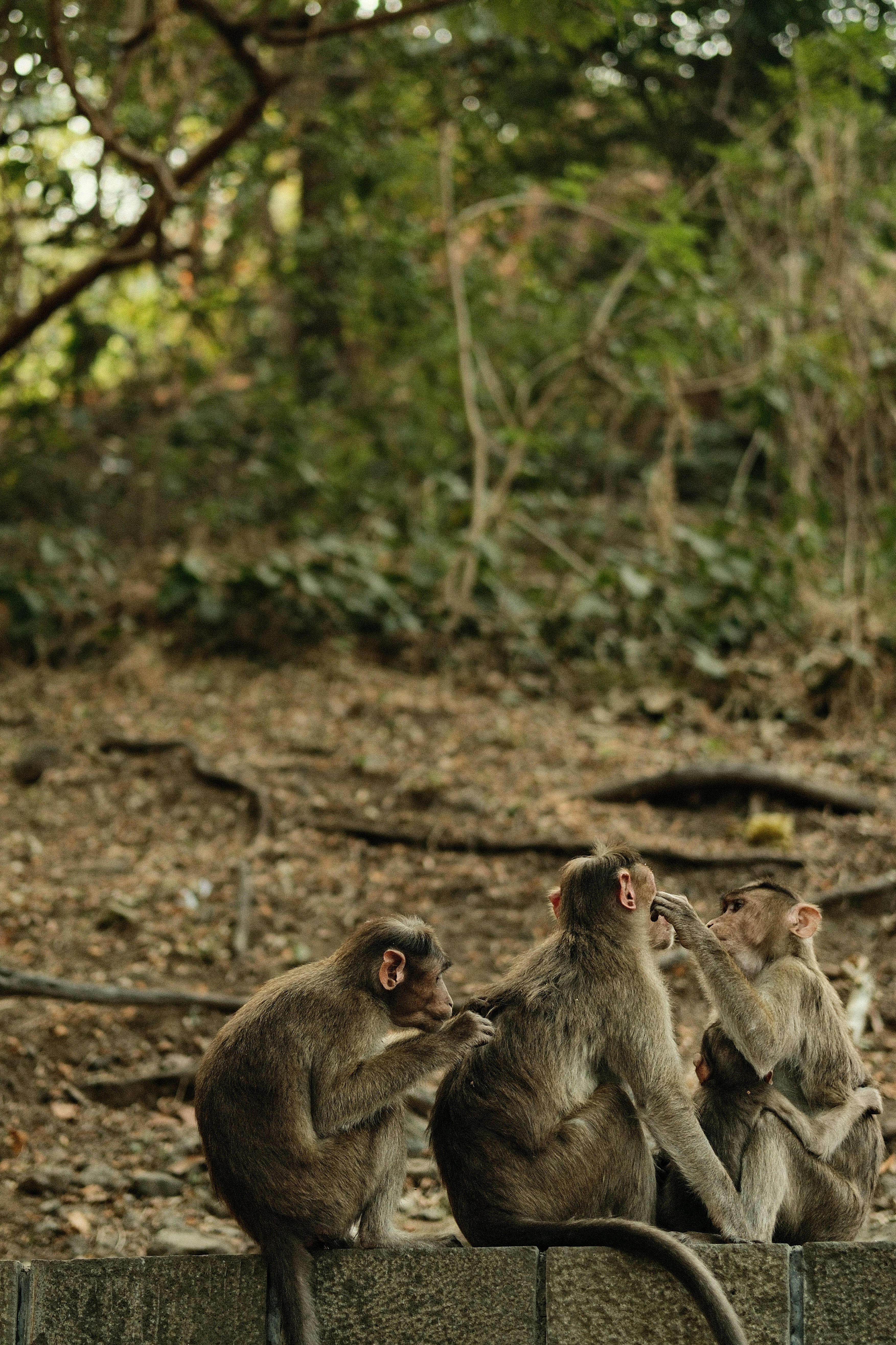 Photo by tonny_huang