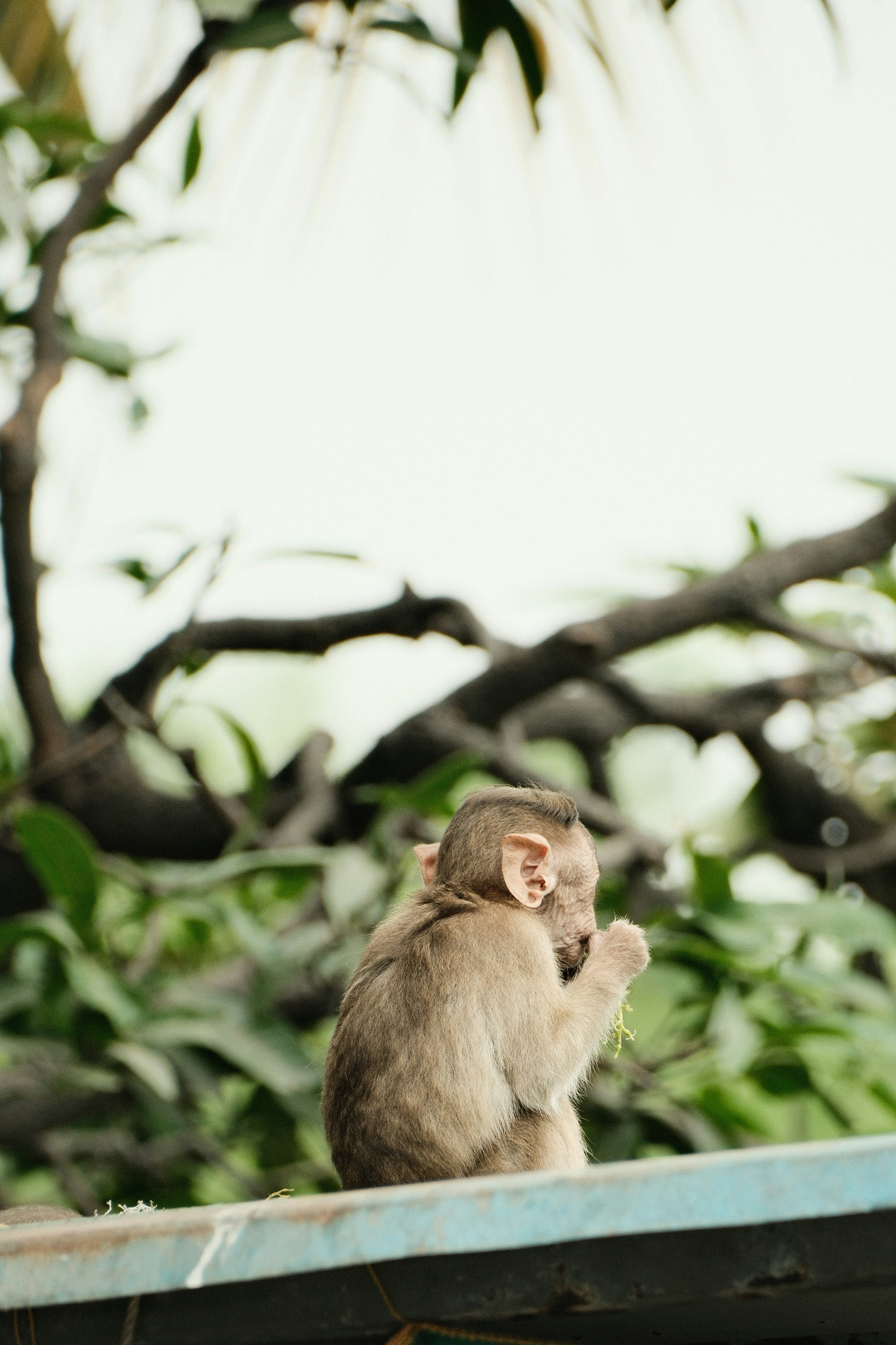 Photo by tonny_huang