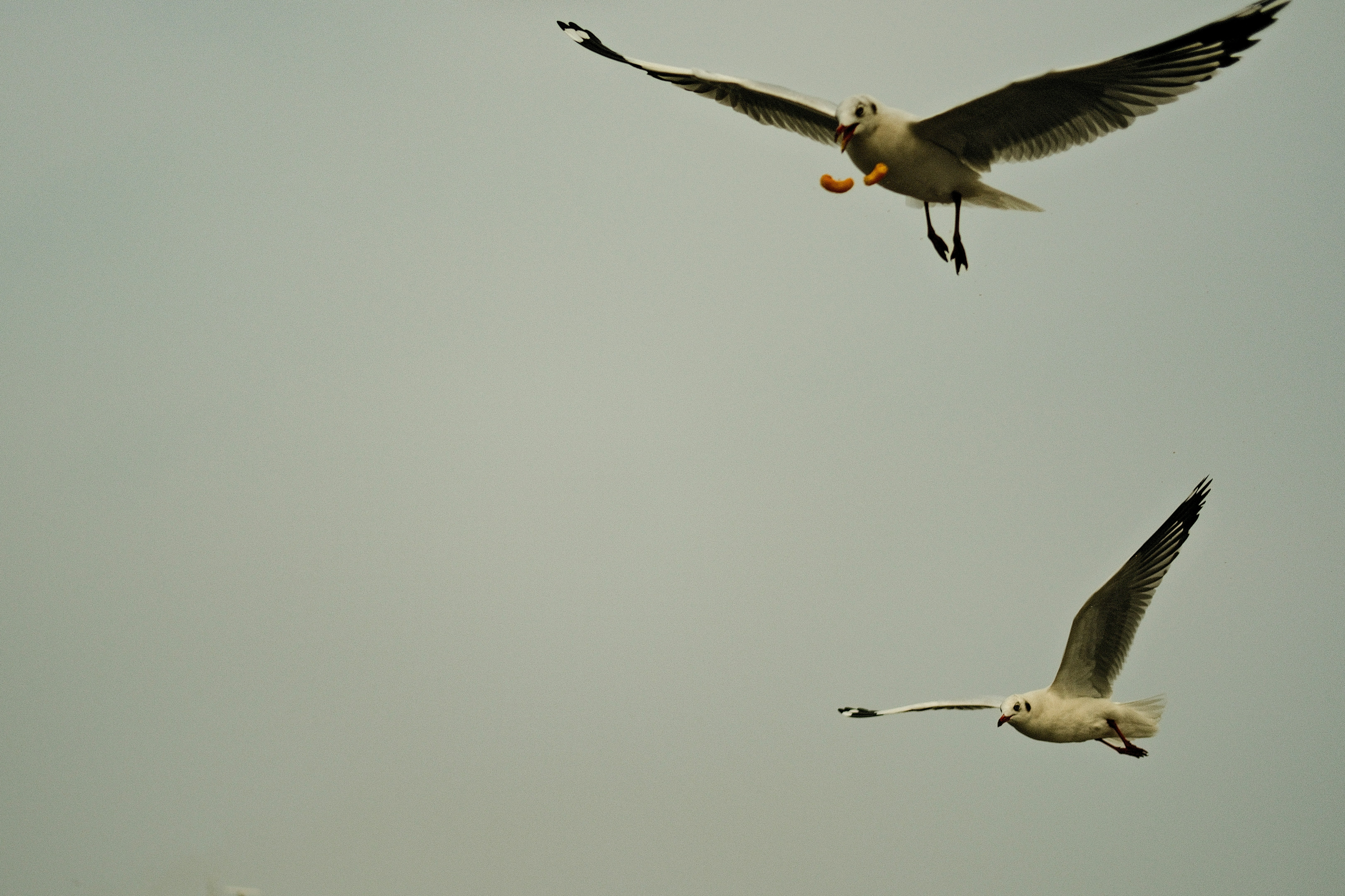 Photo by tonny_huang