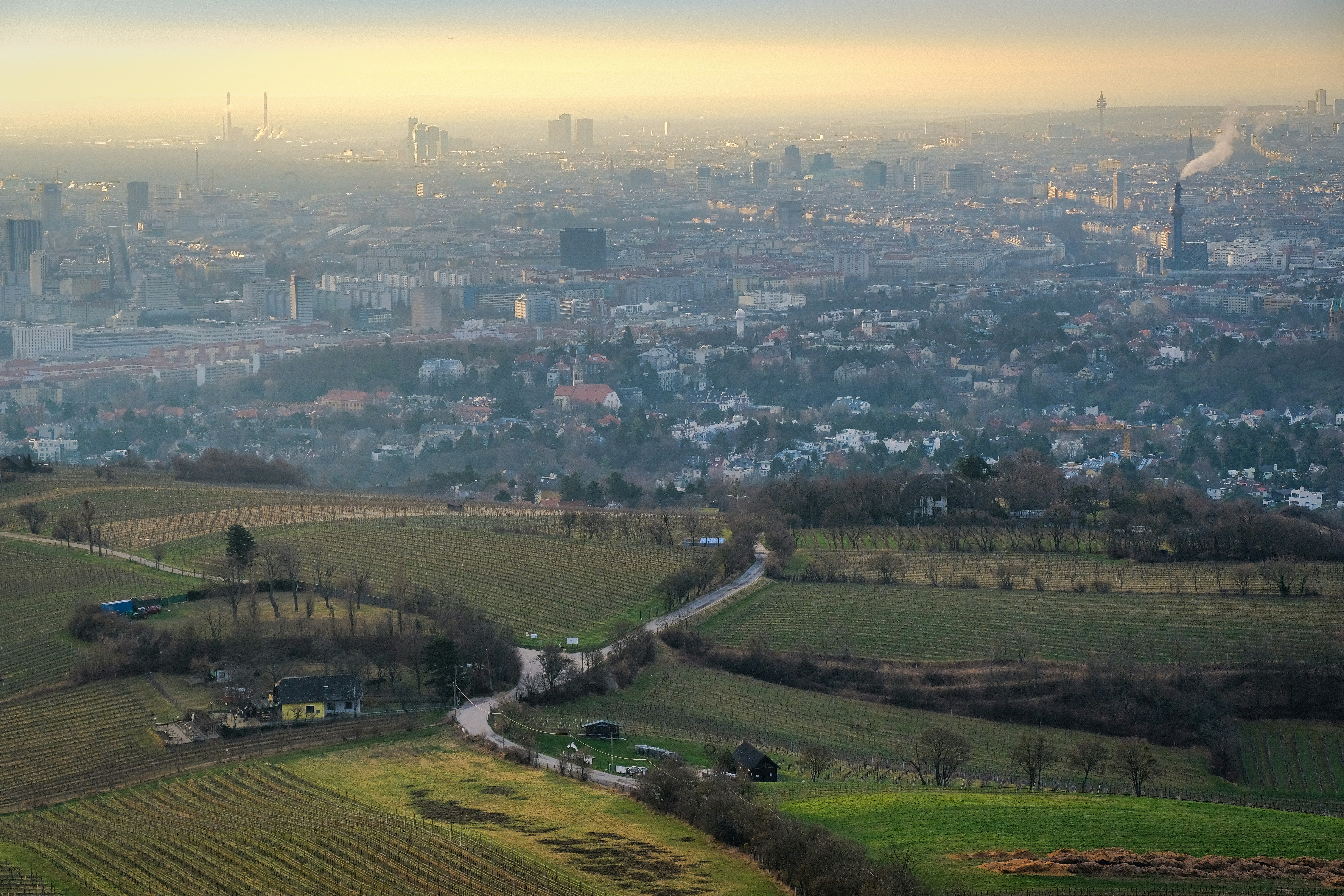 Vienna skyline LinkedIn background