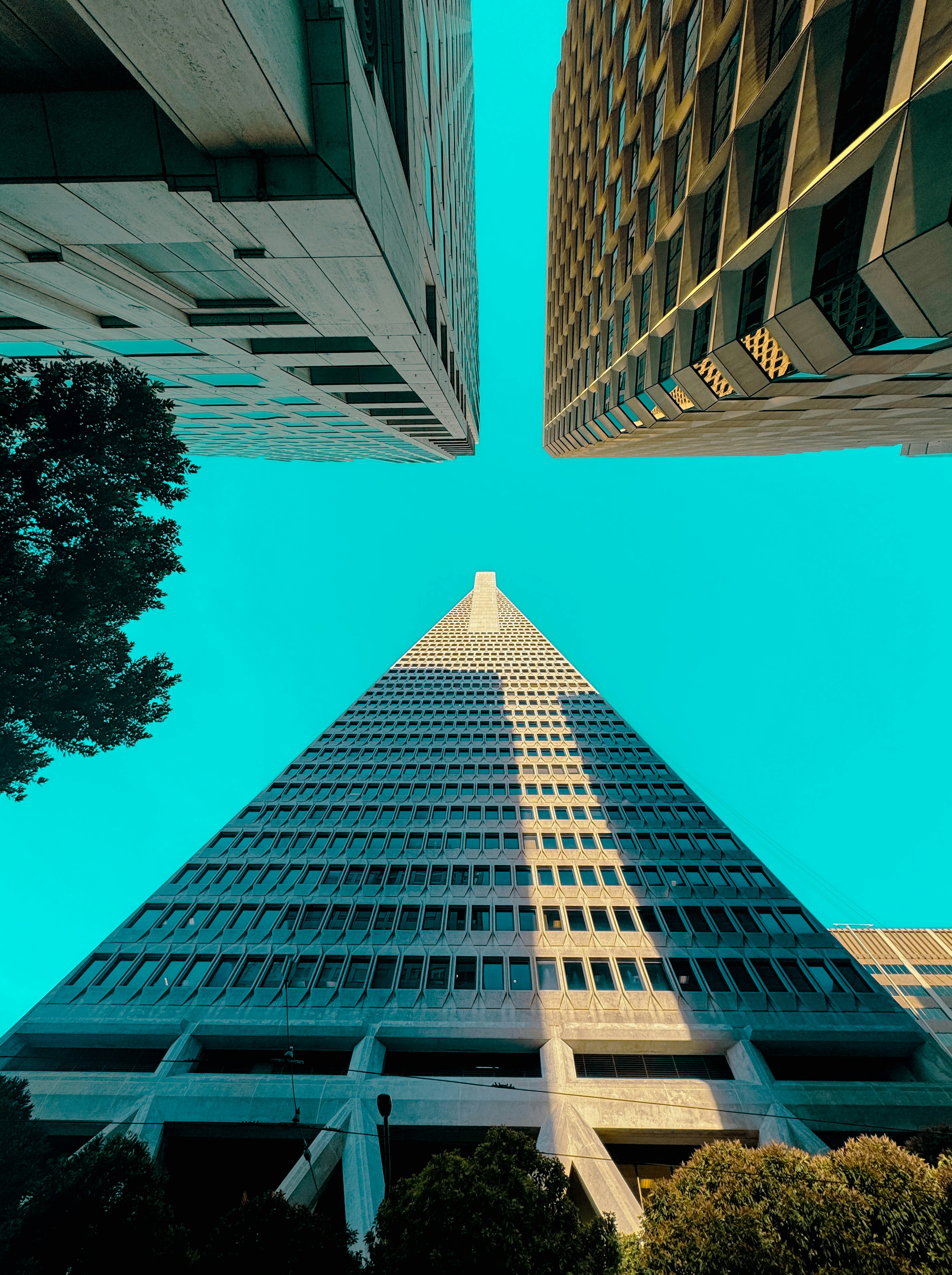 Tall buildings point towards the sky.