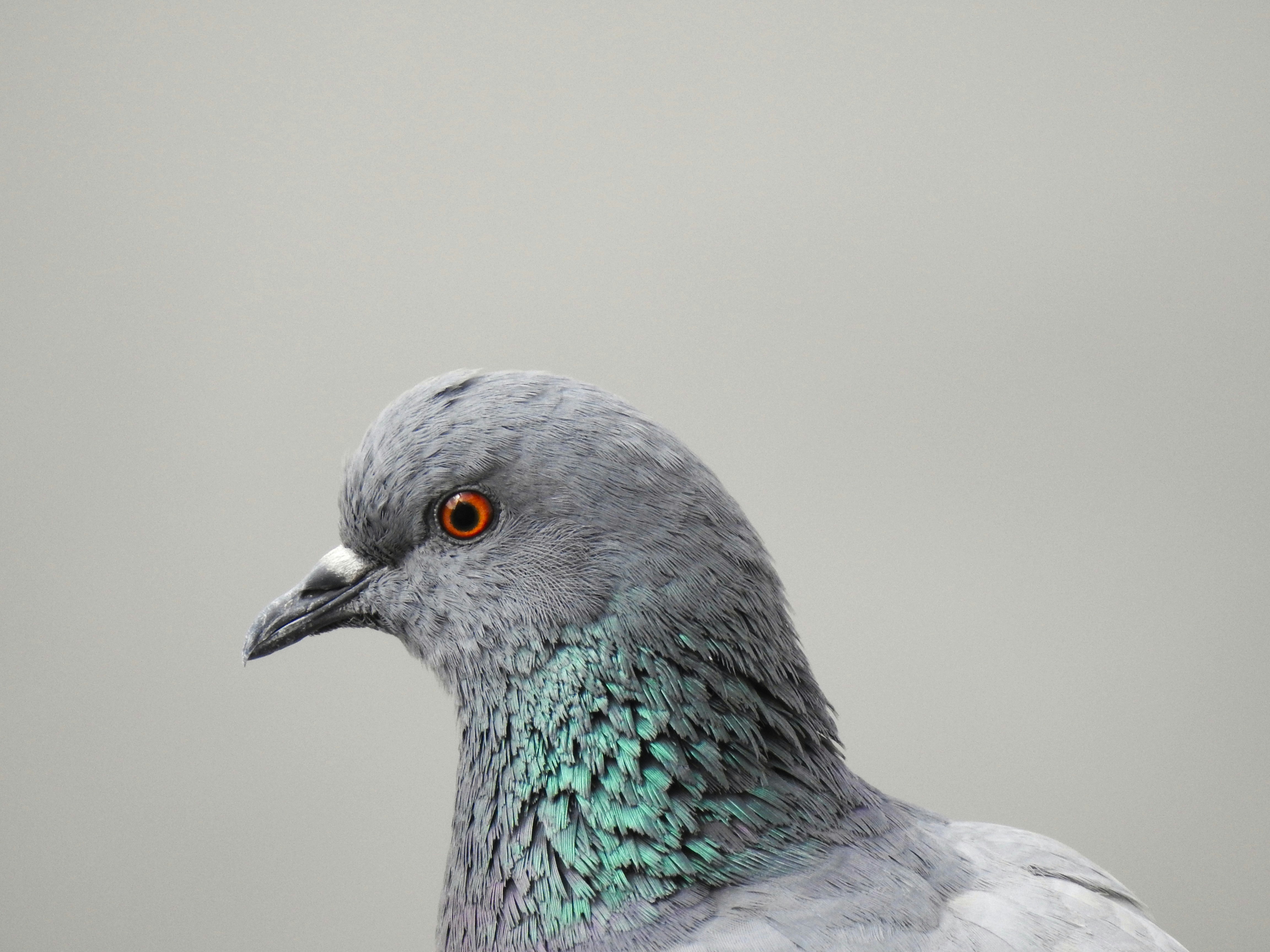 Photo by aditipanatu95