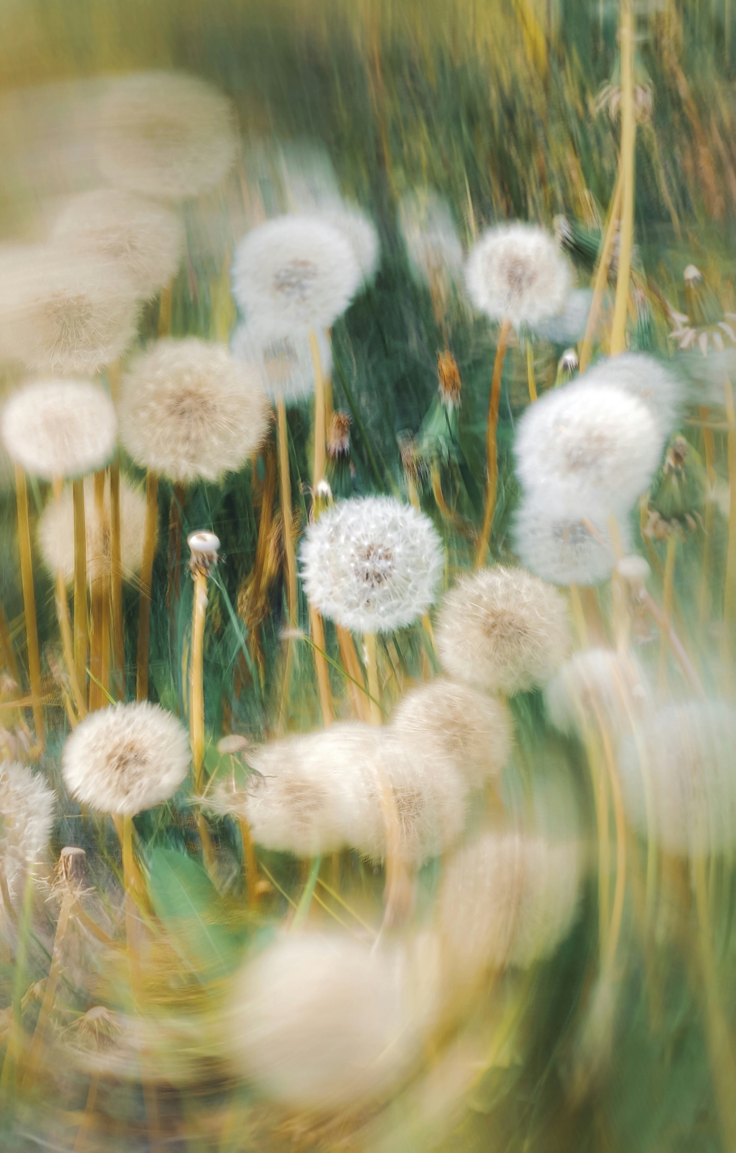 Photo by eugene_golovesov