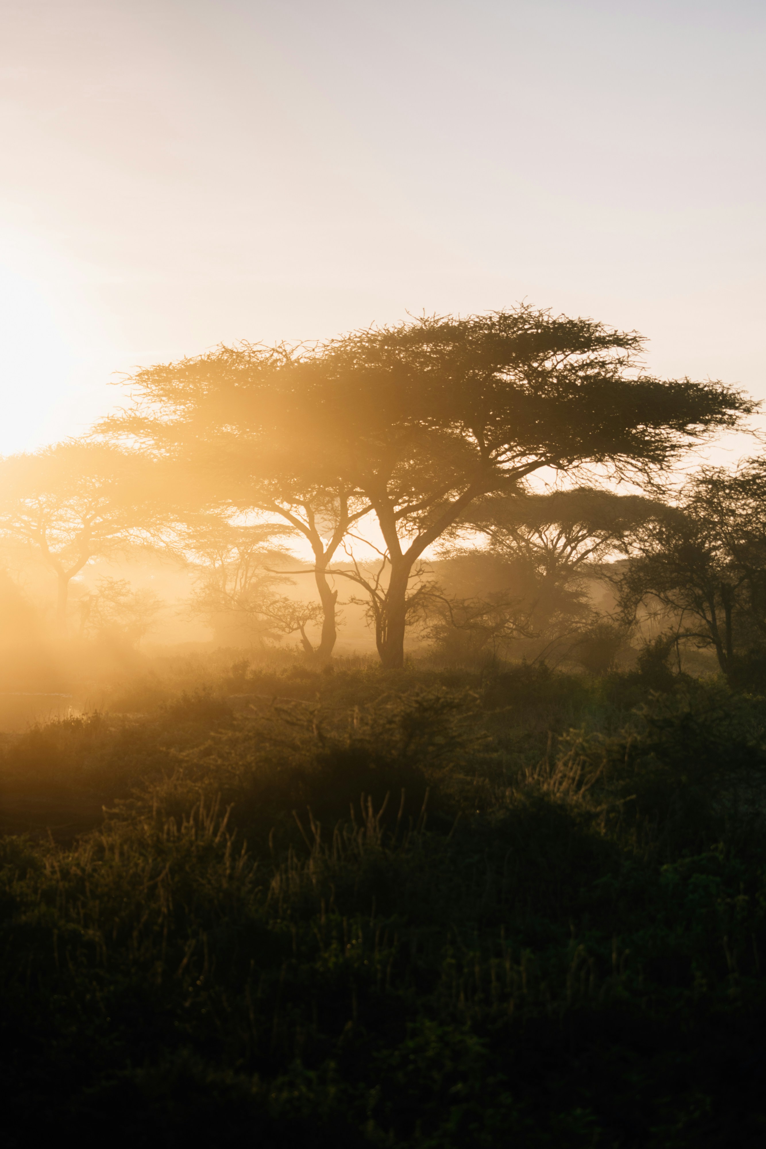 Daily Productive Sharing 1207 - Life Lessons From George Raveling