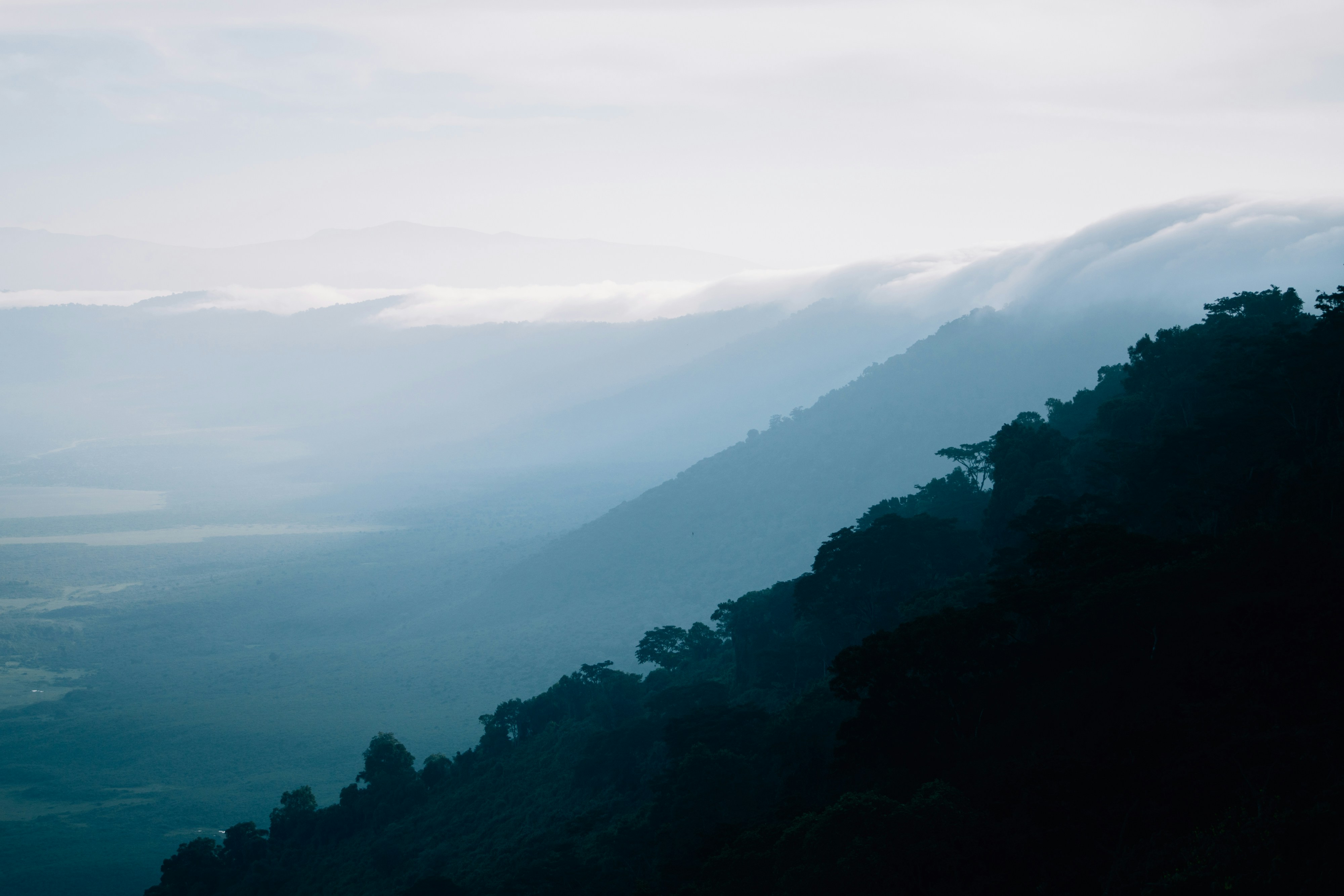 Photo by lifeof_peter_