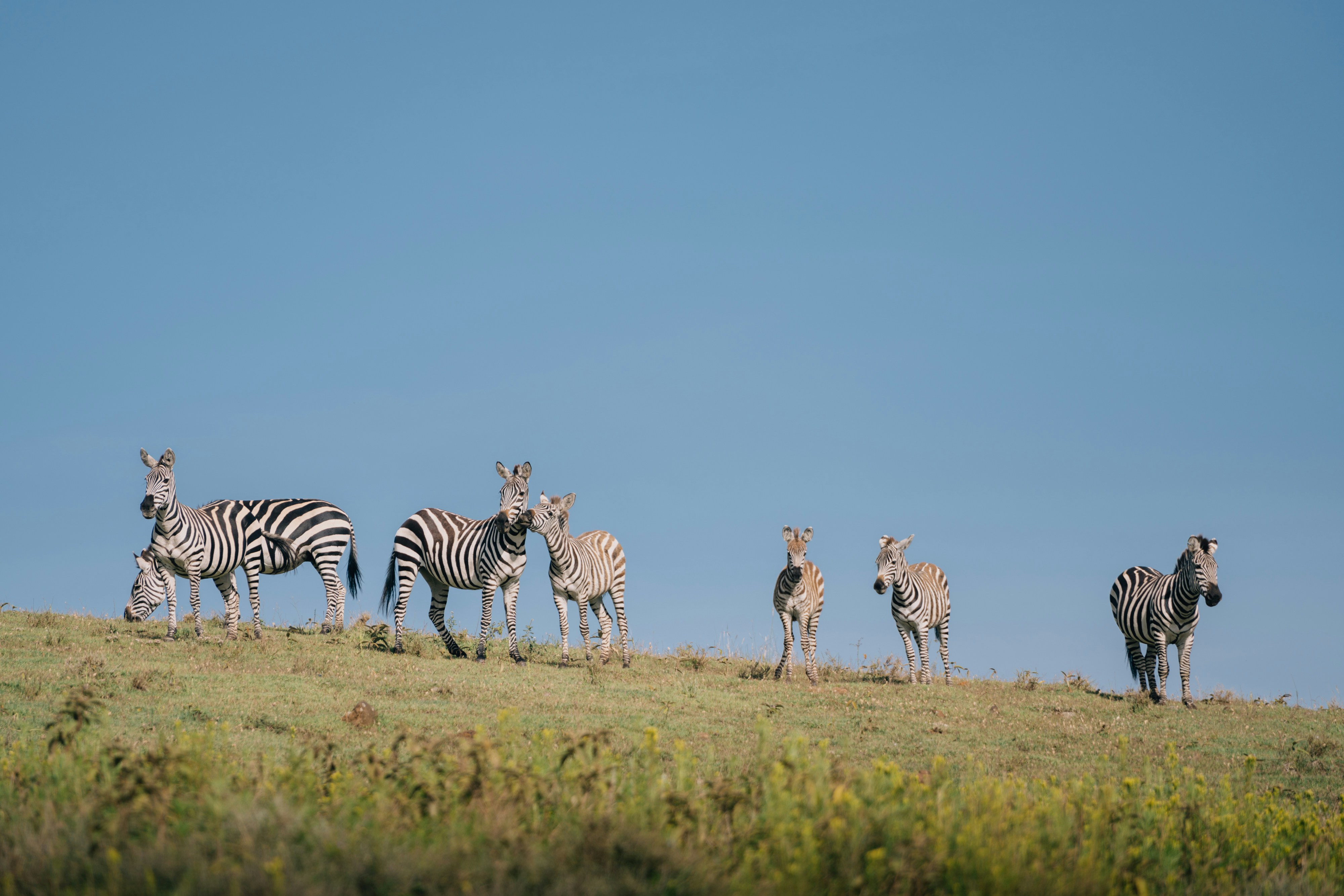 Photo by lifeof_peter_