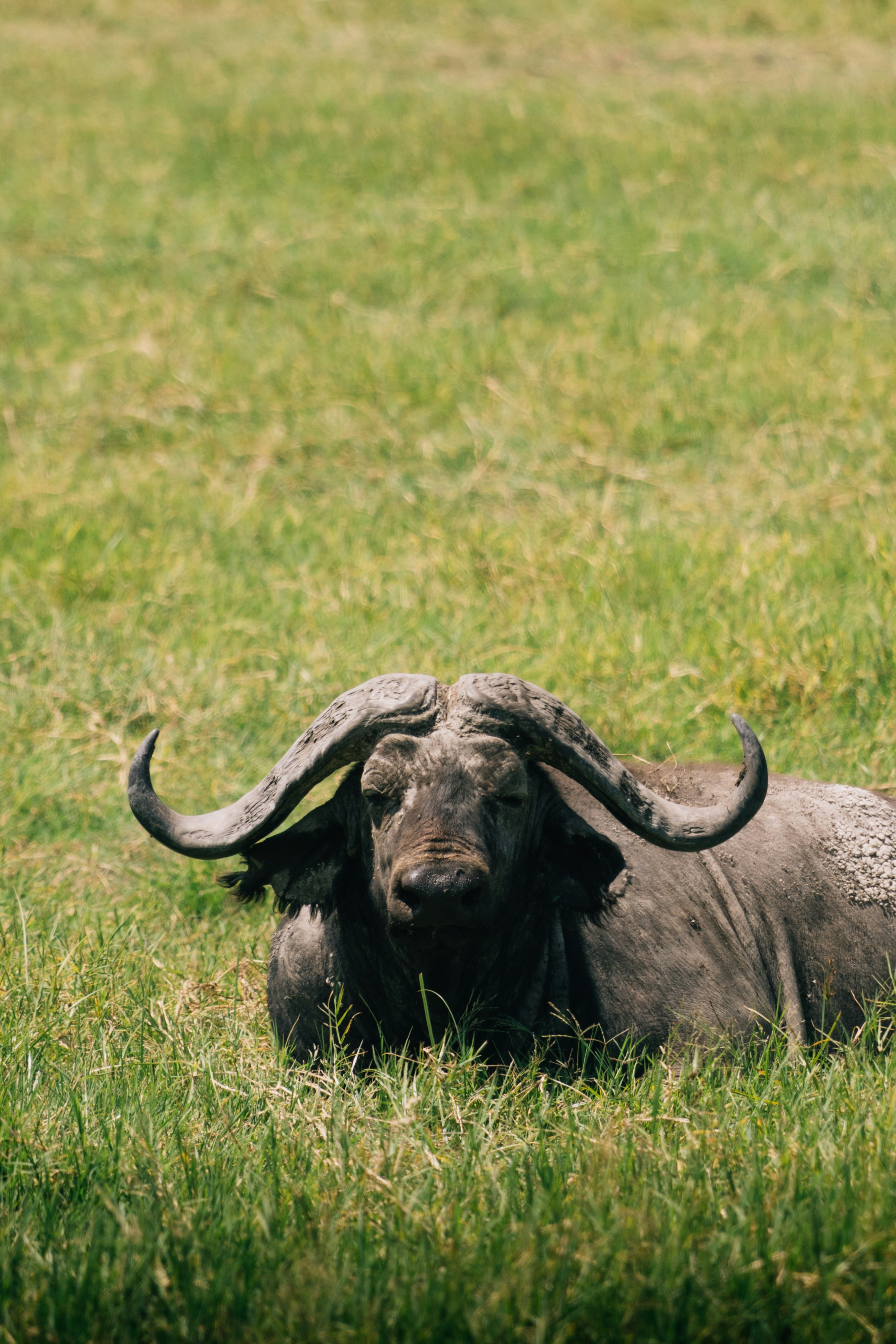 Photo by lifeof_peter_