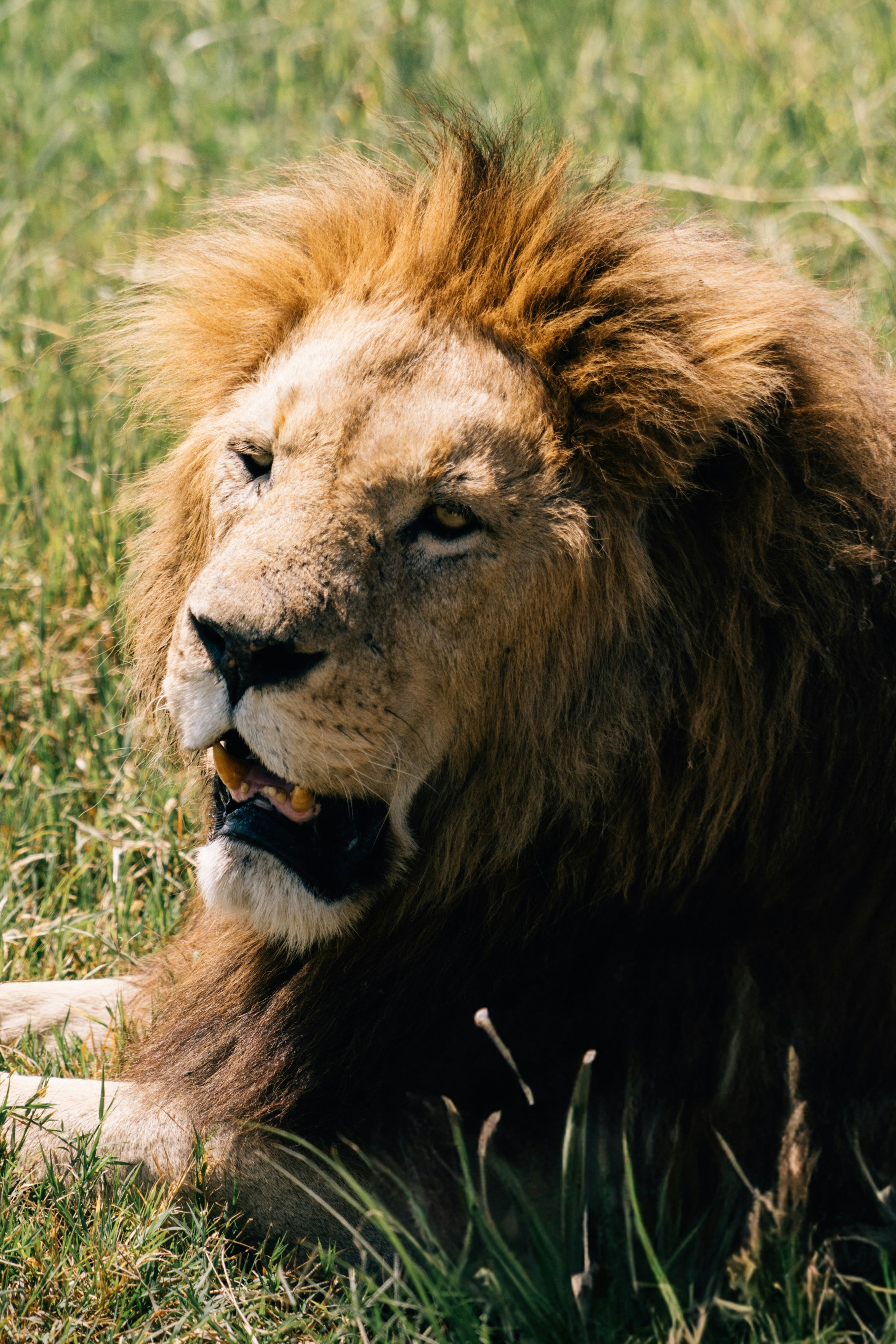 Photo by lifeof_peter_