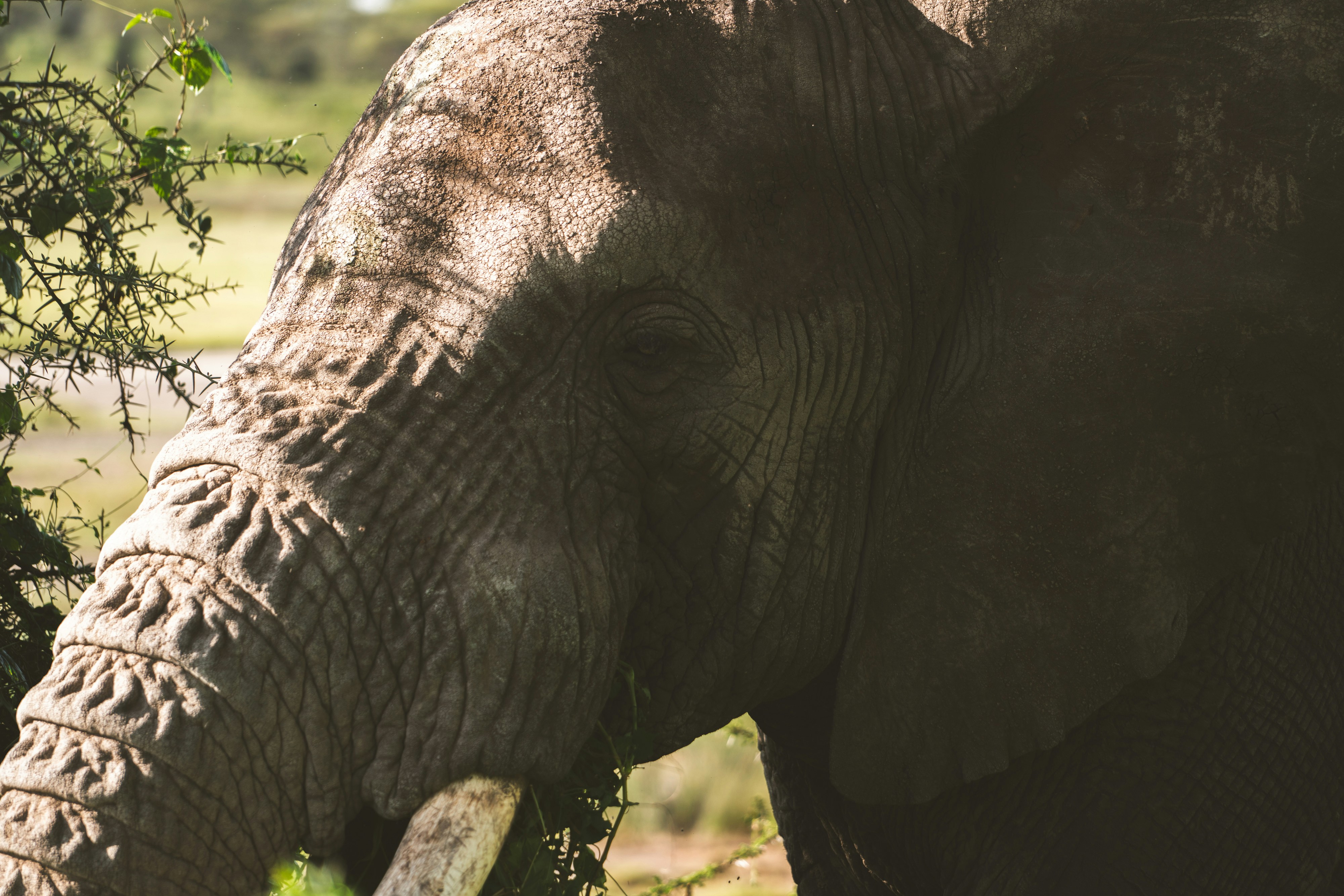 Photo by lifeof_peter_