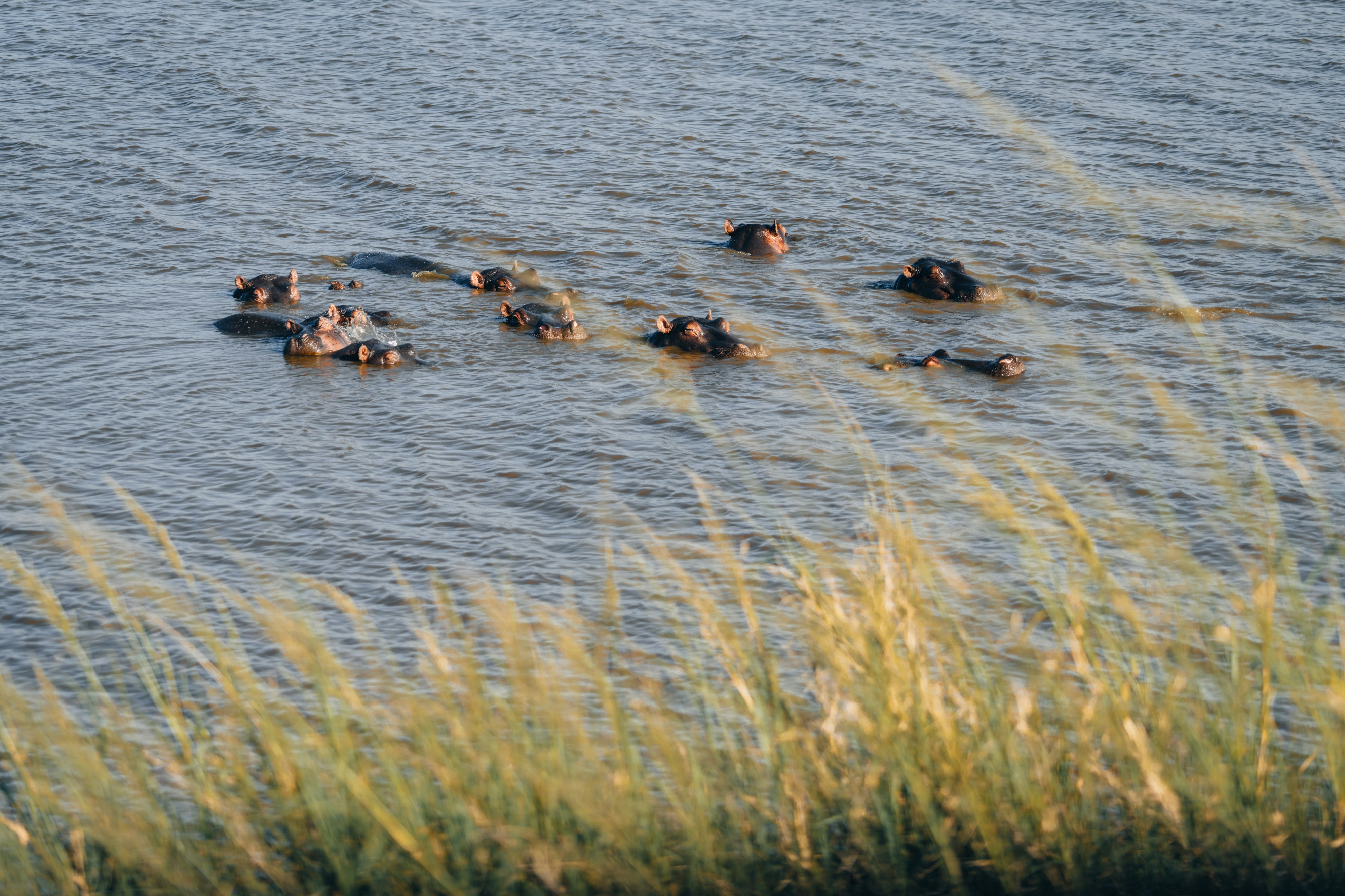 Photo by lifeof_peter_