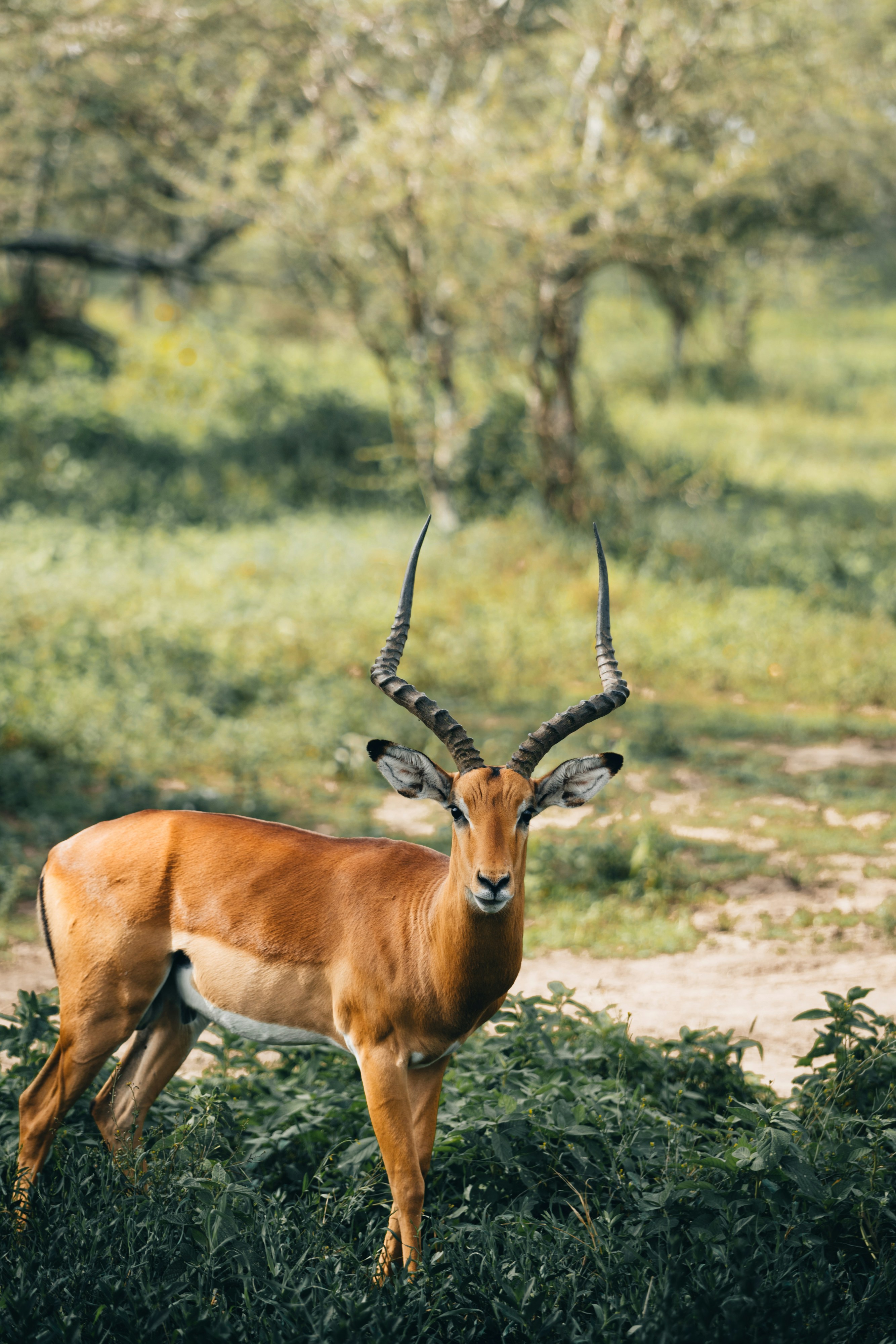 Photo by lifeof_peter_