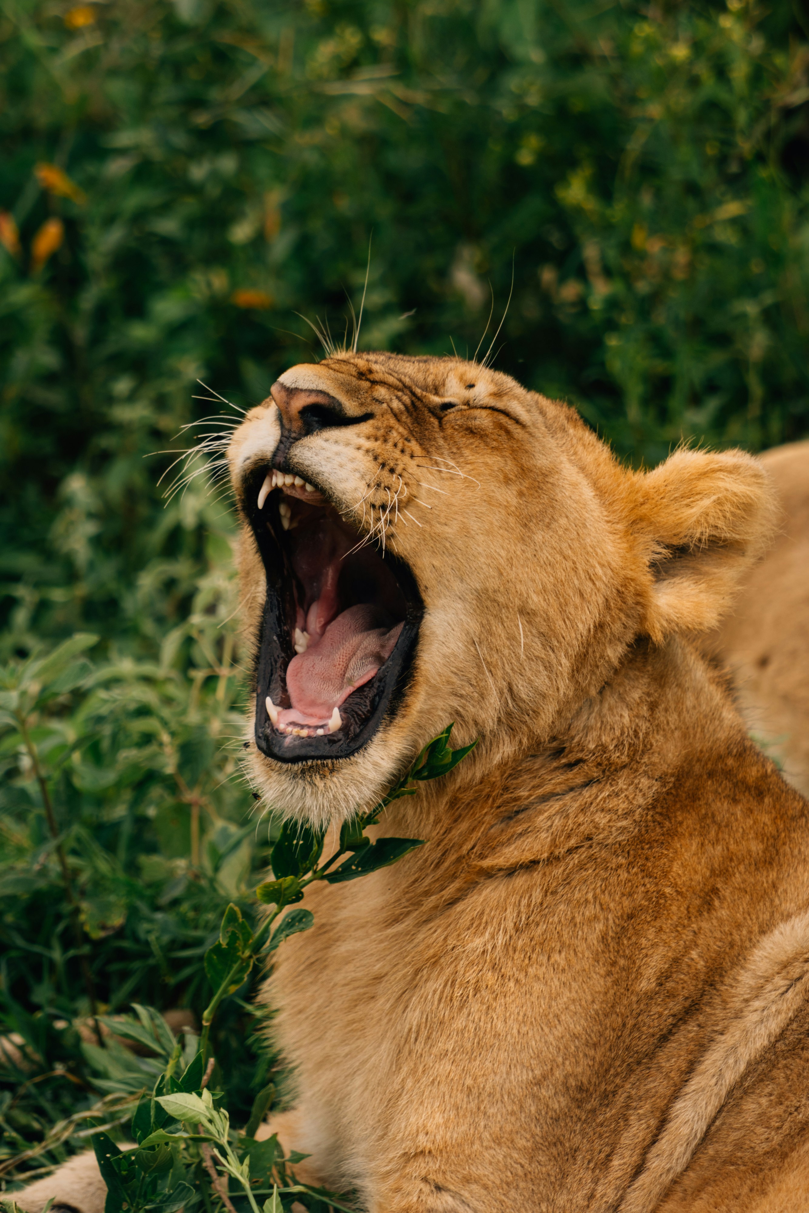 Photo by lifeof_peter_