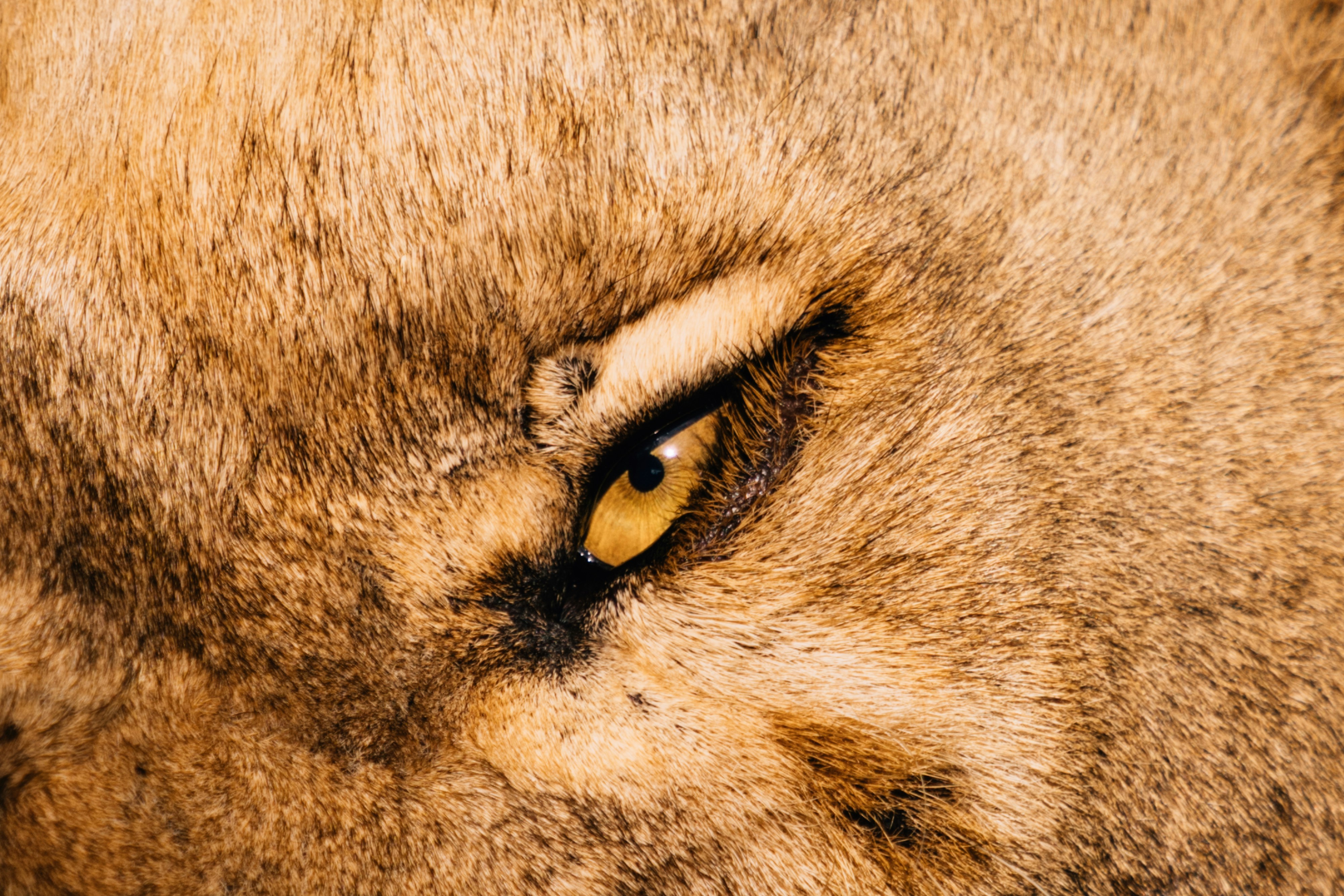 Photo by lifeof_peter_