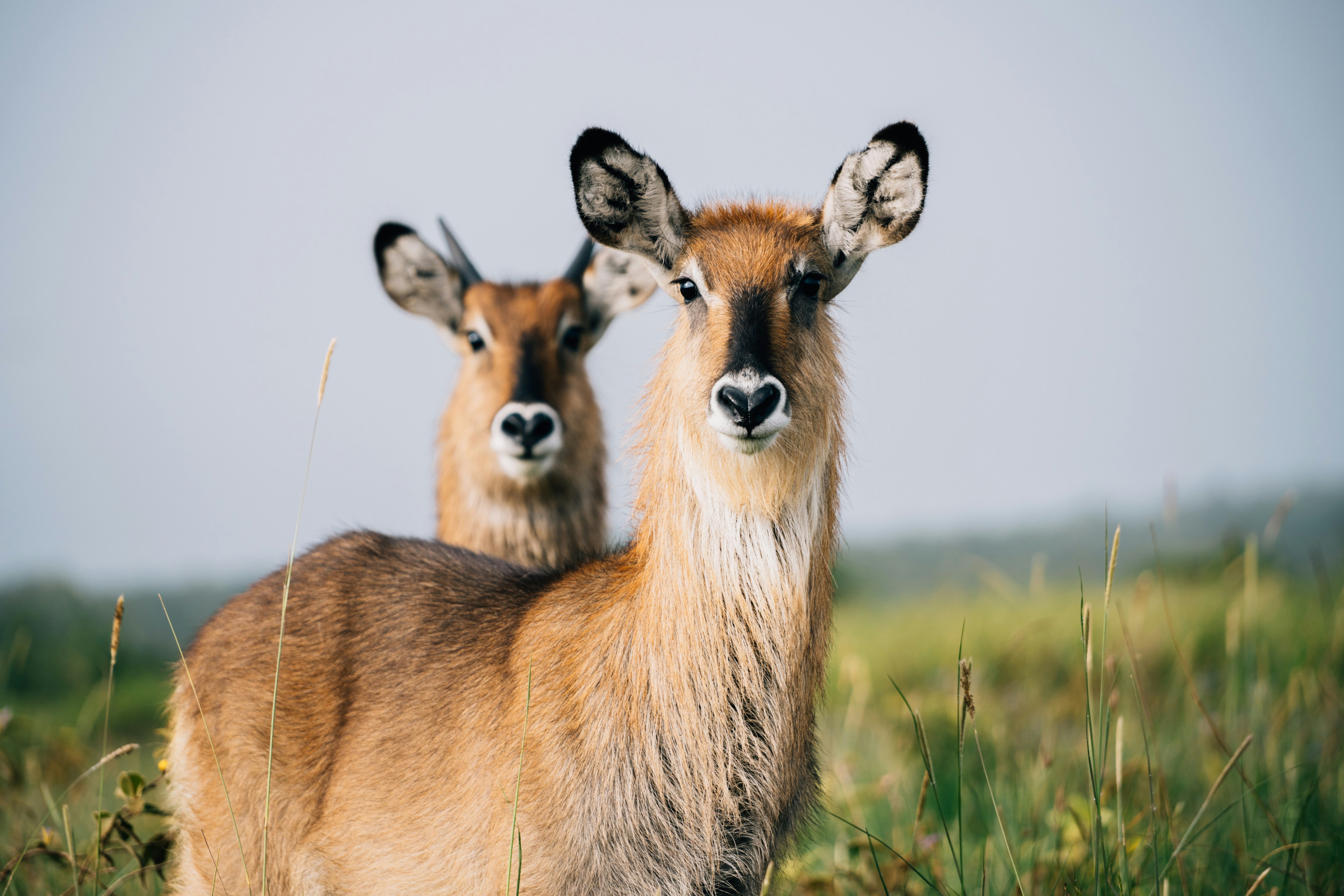 Photo by lifeof_peter_