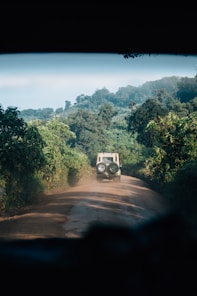 Off-road vehicle drives through dusty jungle terrain.
