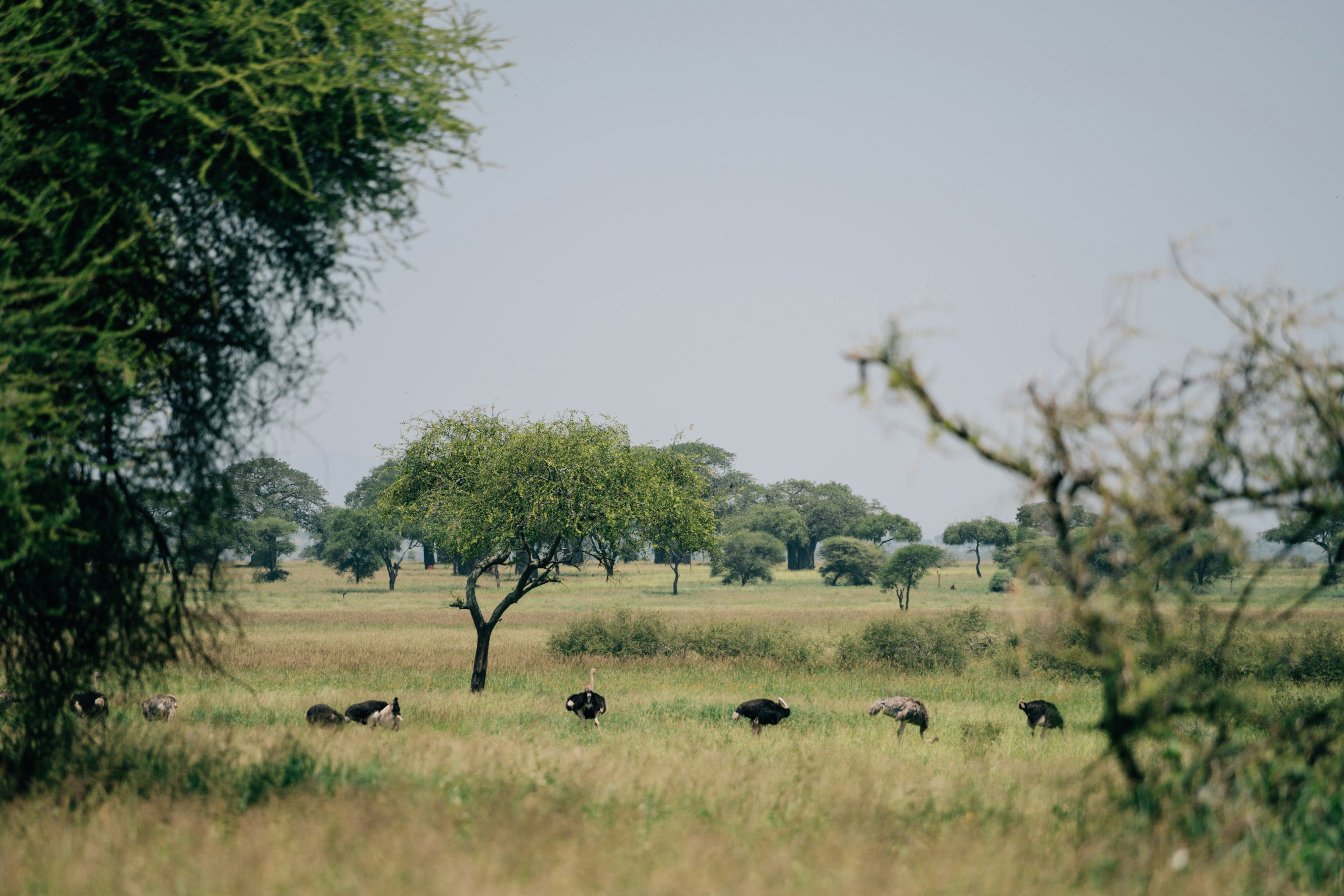 Photo by lifeof_peter_