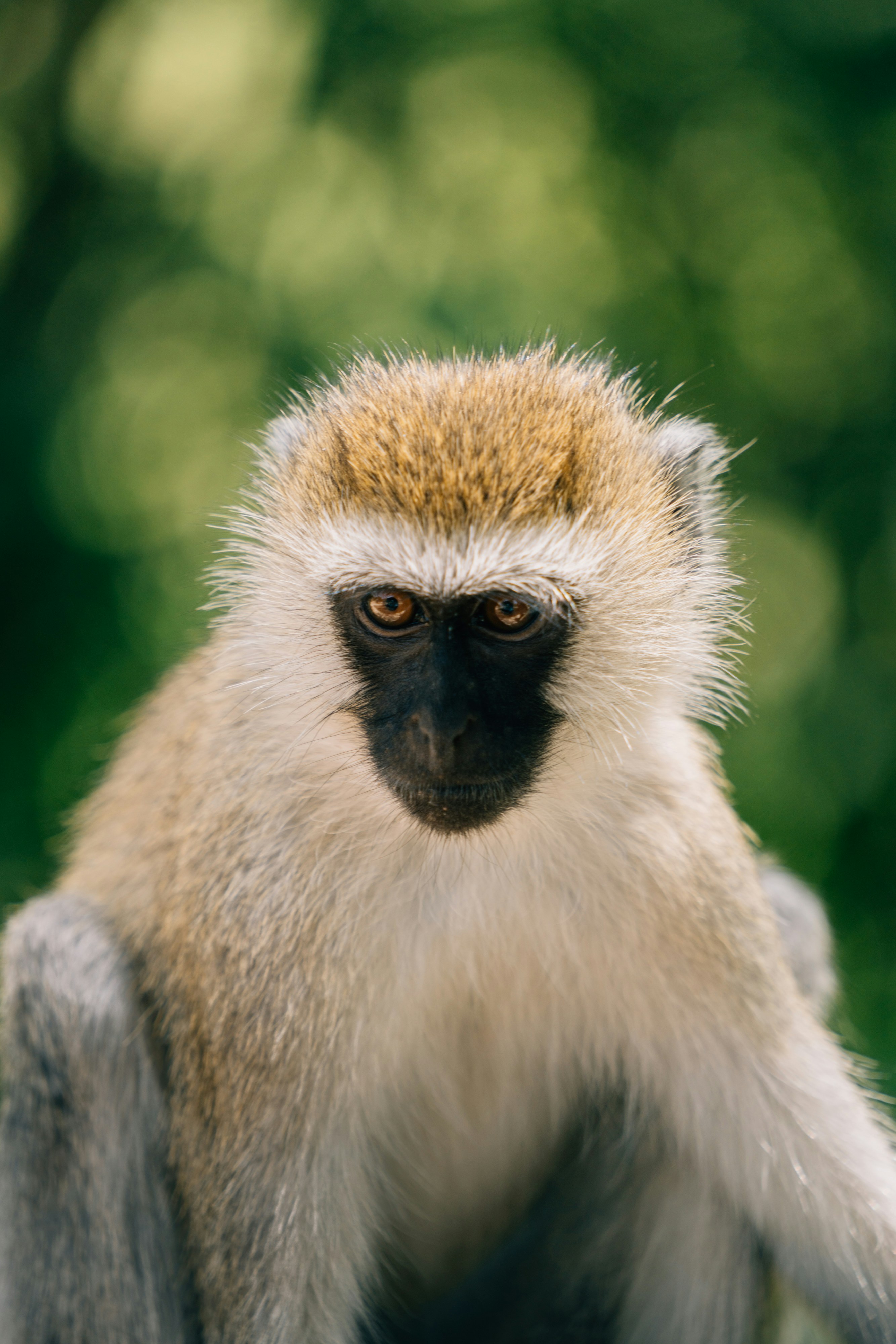 Photo by lifeof_peter_